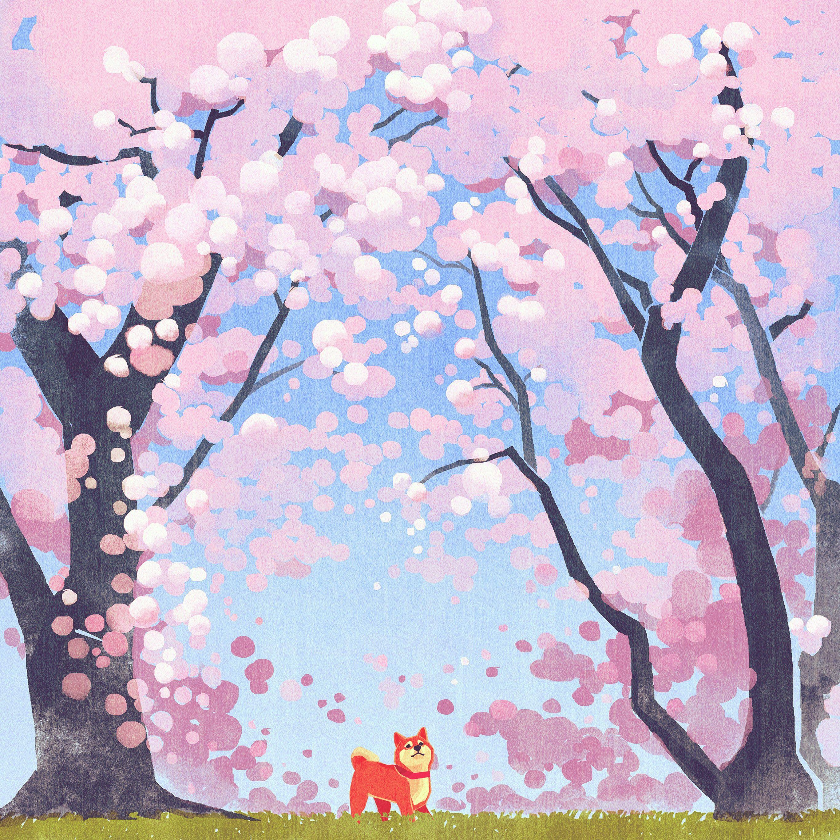 2732x2732 Cute Siba Dog Animal Spring Illustration Art Pink Wallpaper