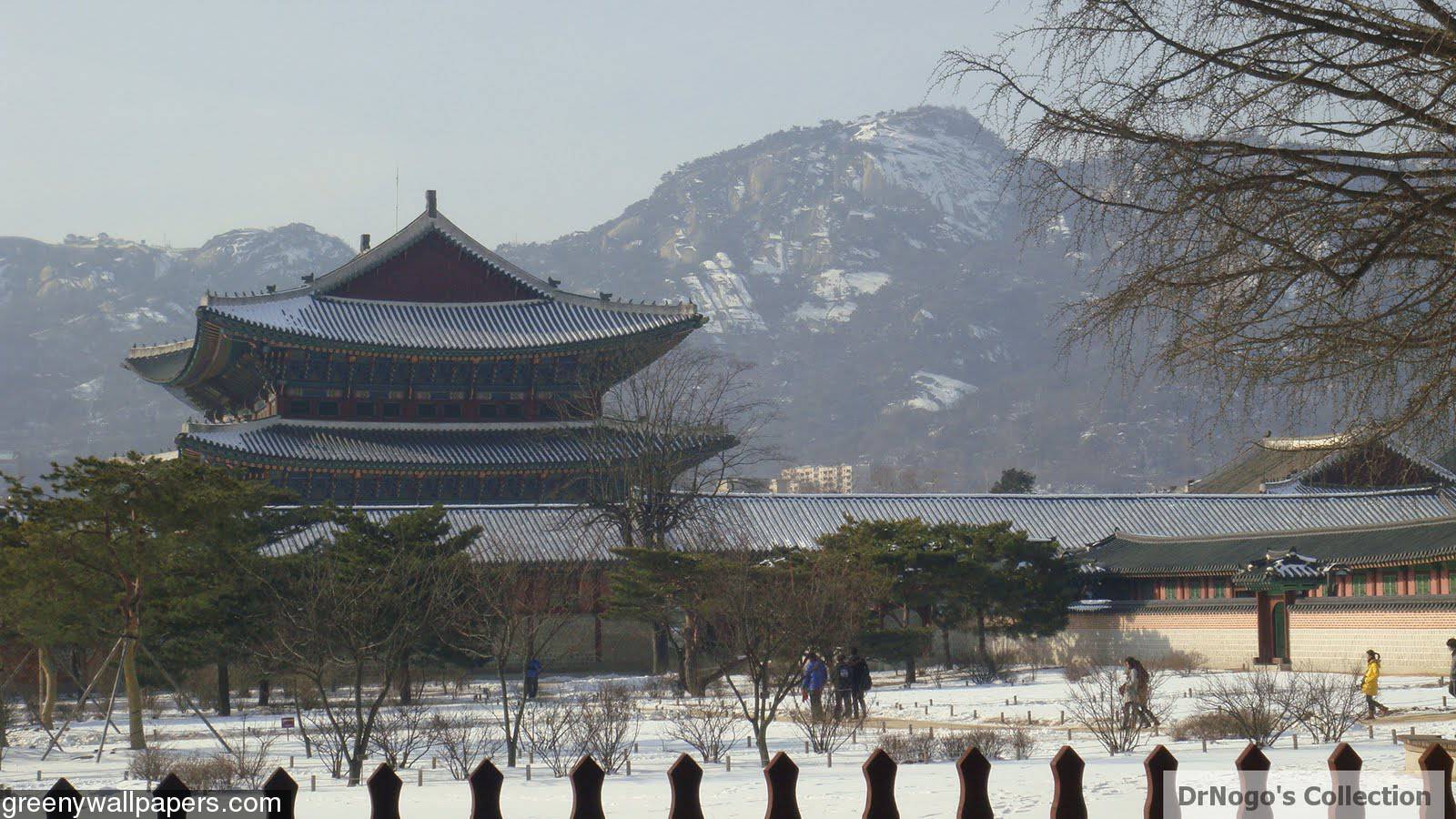 1600x900 HD South Korea Wallpaper, Live South Korea Wallpaper (NRZWP)
