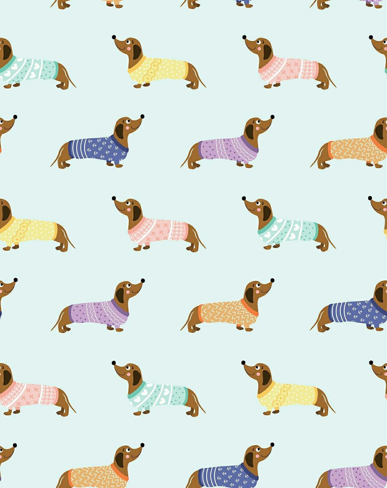 wiener dog wallpapers top free wiener dog backgrounds wallpaperaccess wiener dog wallpapers top free wiener