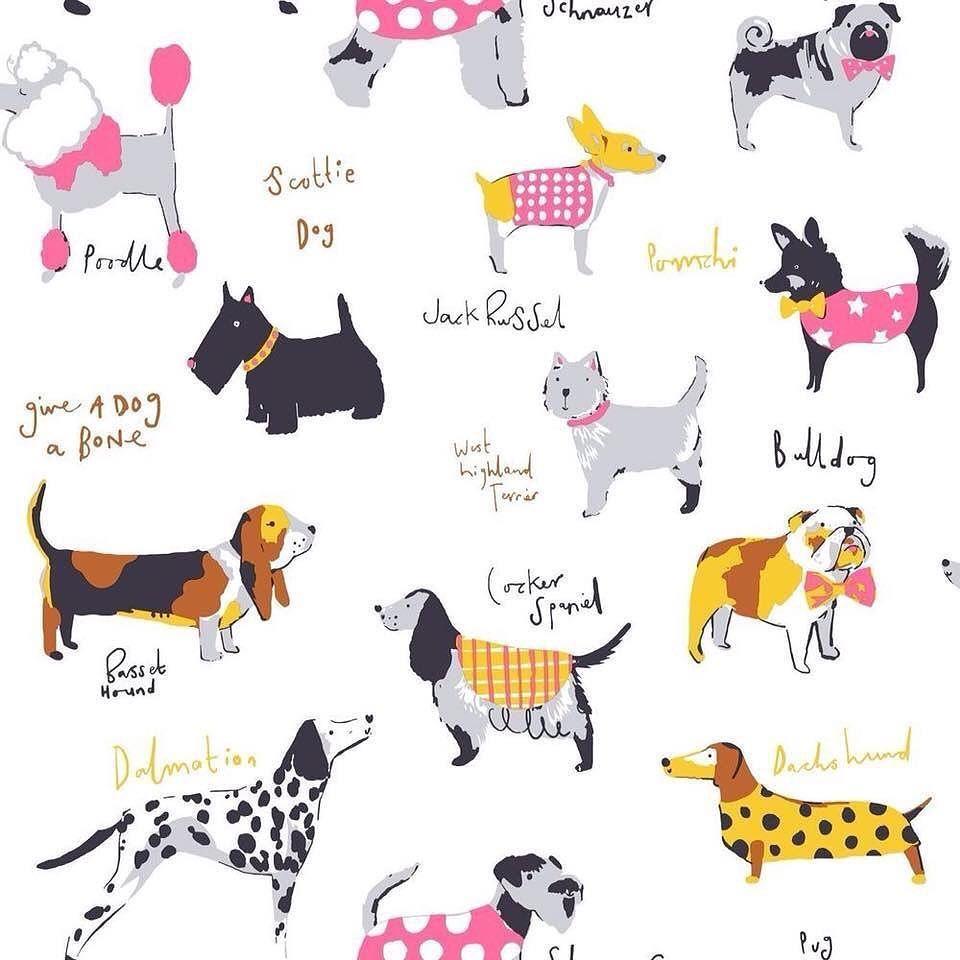 960x960 Best wallpaper ever. Thinking the My Dog Foo offices need a