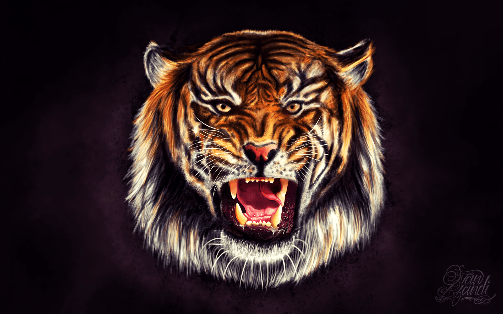 Tiger Face Wallpapers - Top Free Tiger Face Backgrounds - WallpaperAccess