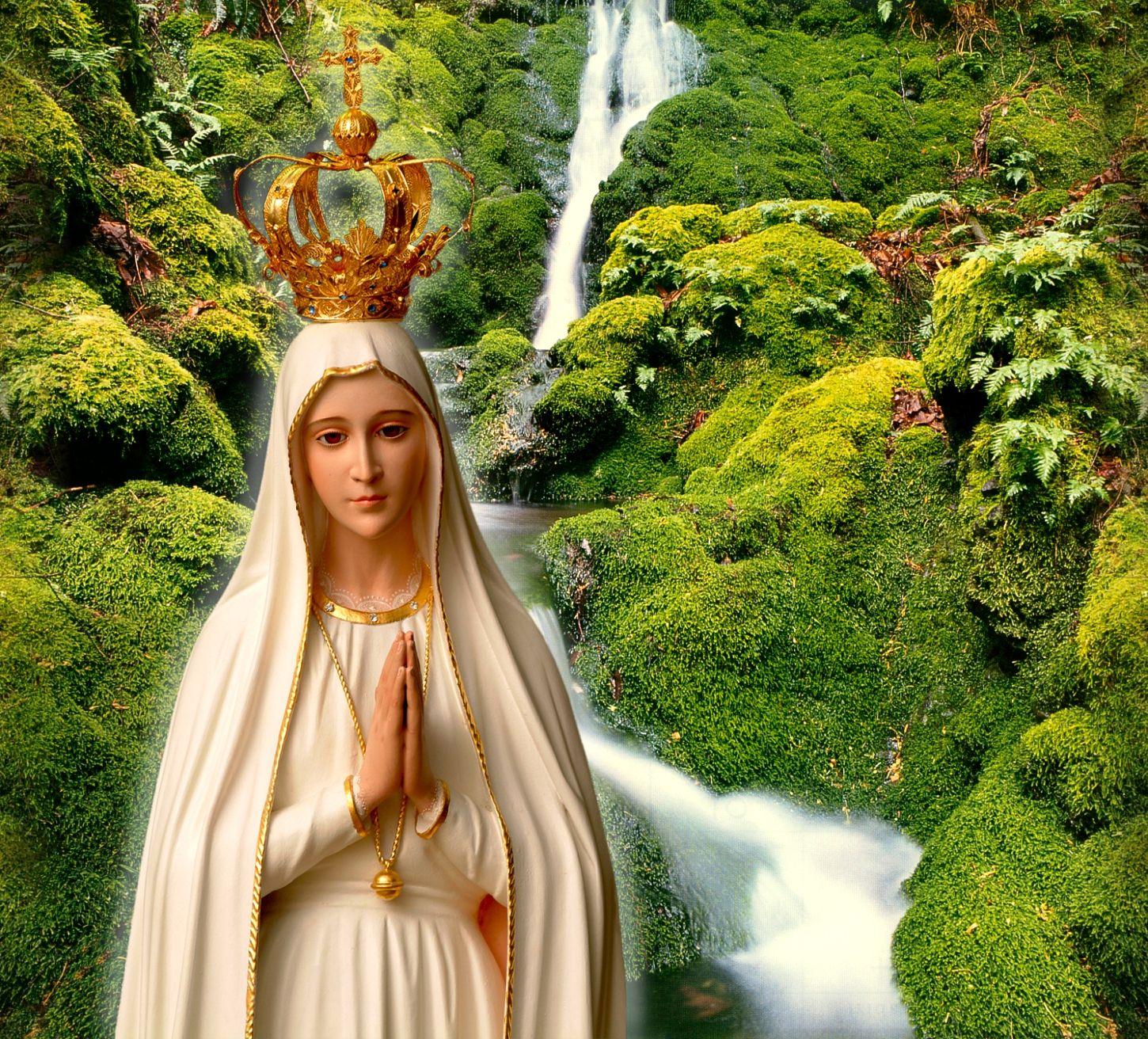 Our Lady of Fatima christ sheep jesus fatima virgin mary HD wallpaper   Peakpx