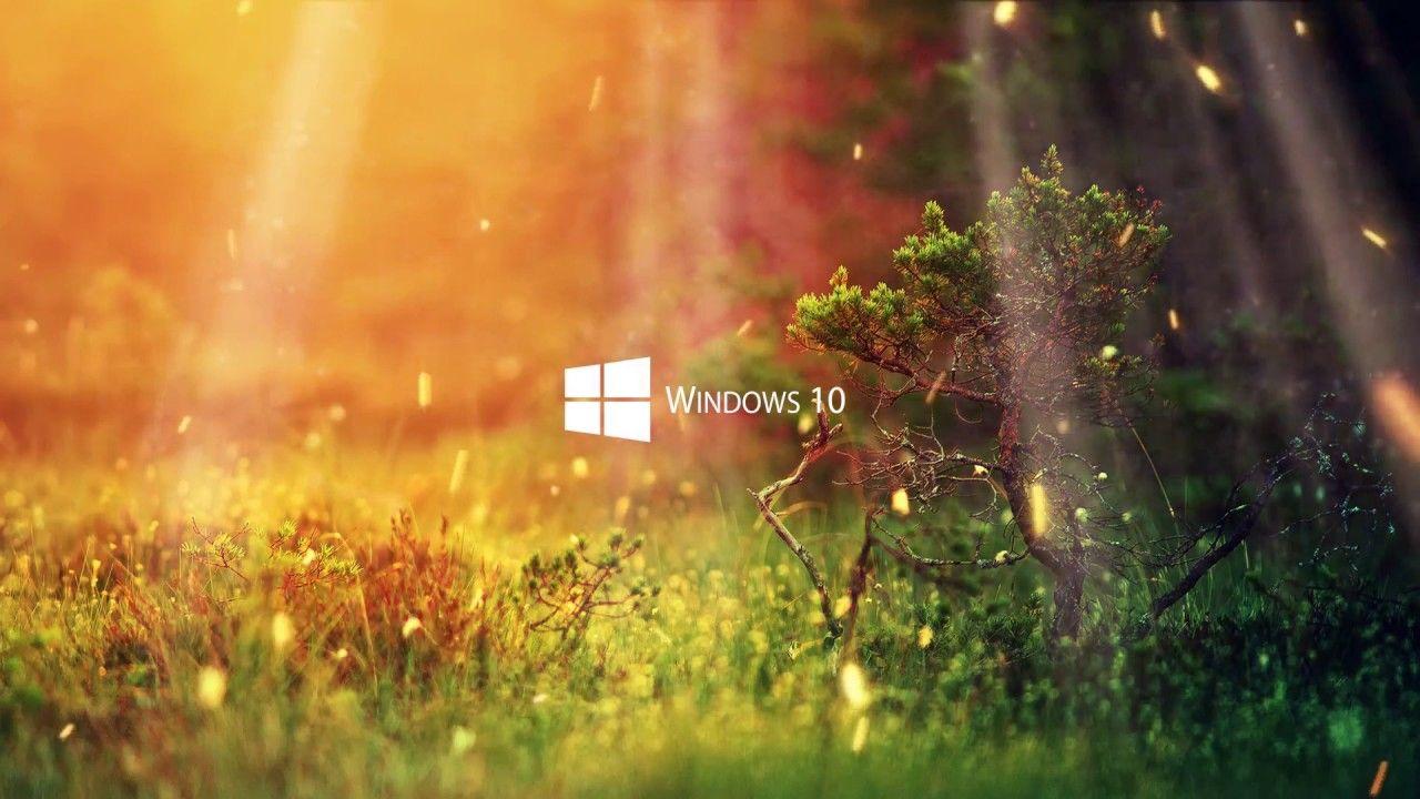 Windows 12 Wallpapers - Top Free Windows 12 Backgrounds - WallpaperAccess