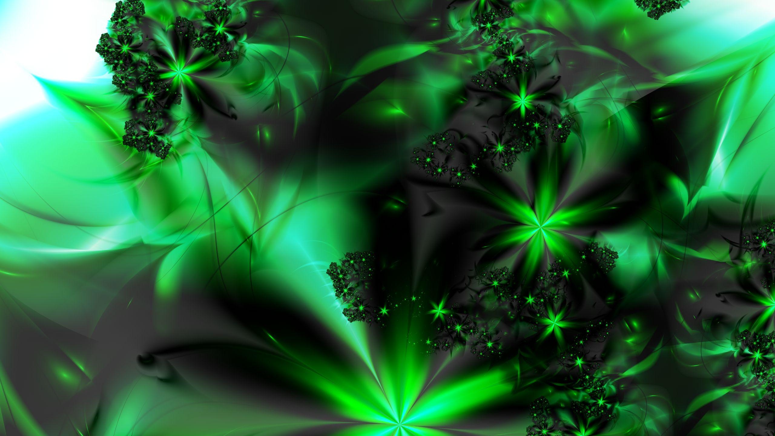 2560x1440 Brillante esmeralda fondos de pantalla. Brillante esmeralda fotos