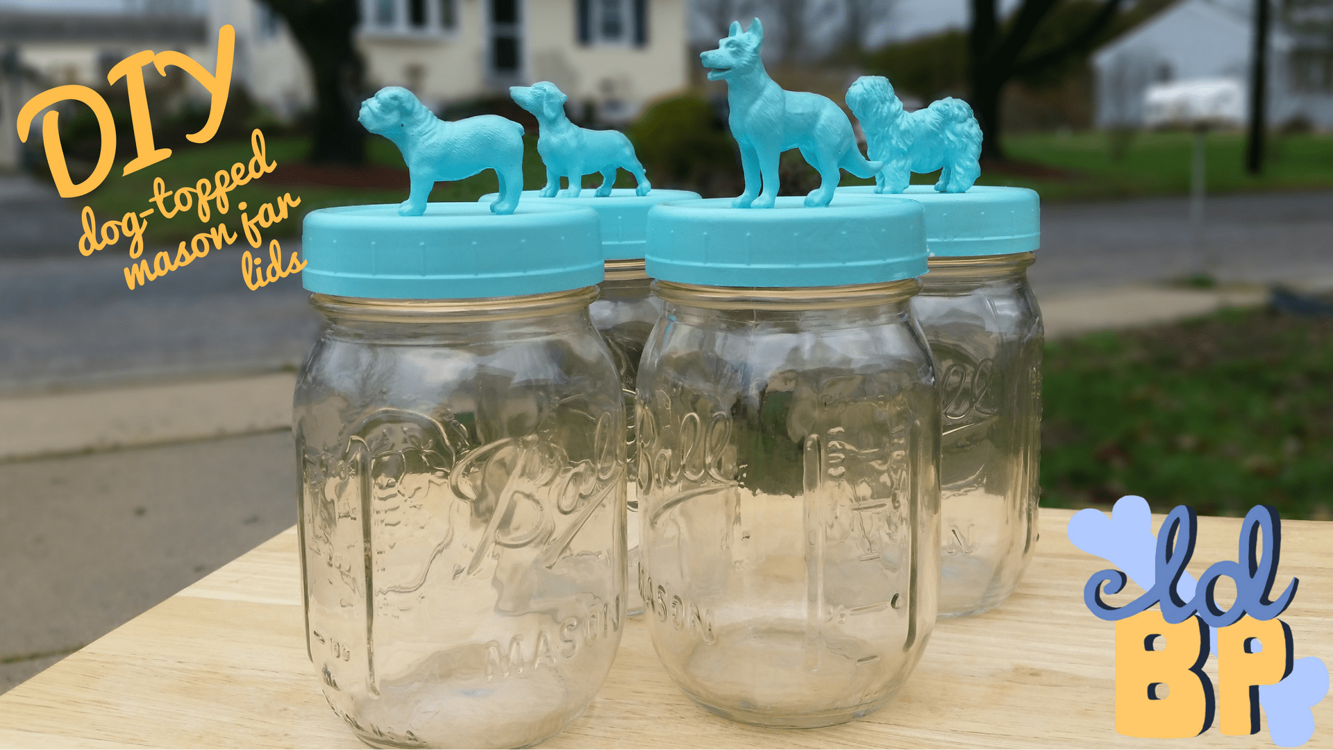 1920x1080 DIY Dog Topped Mason Jar Lids