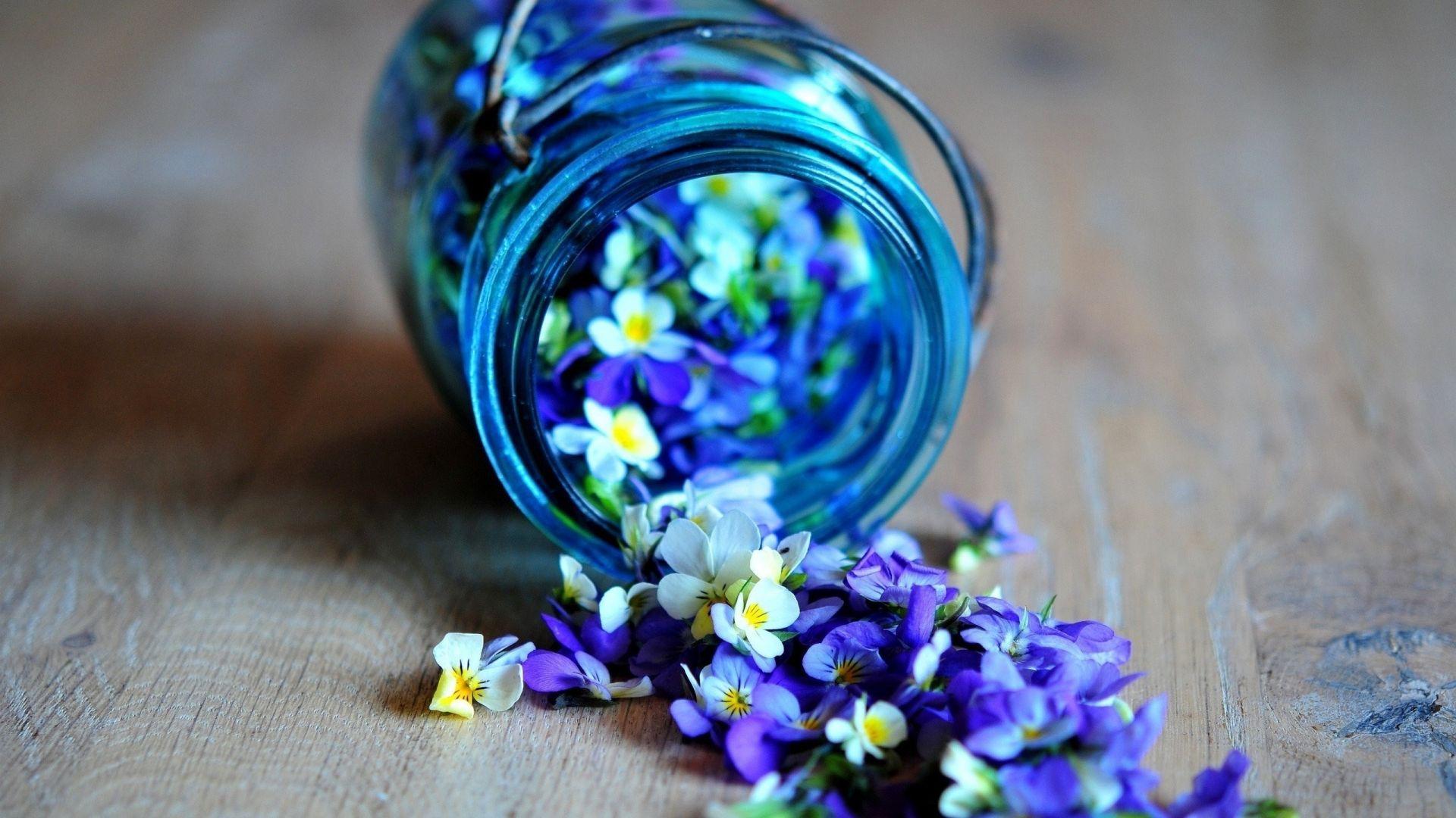 1920x1080 Free download Jar of flowers wallpaper 952256 [2560x1600]