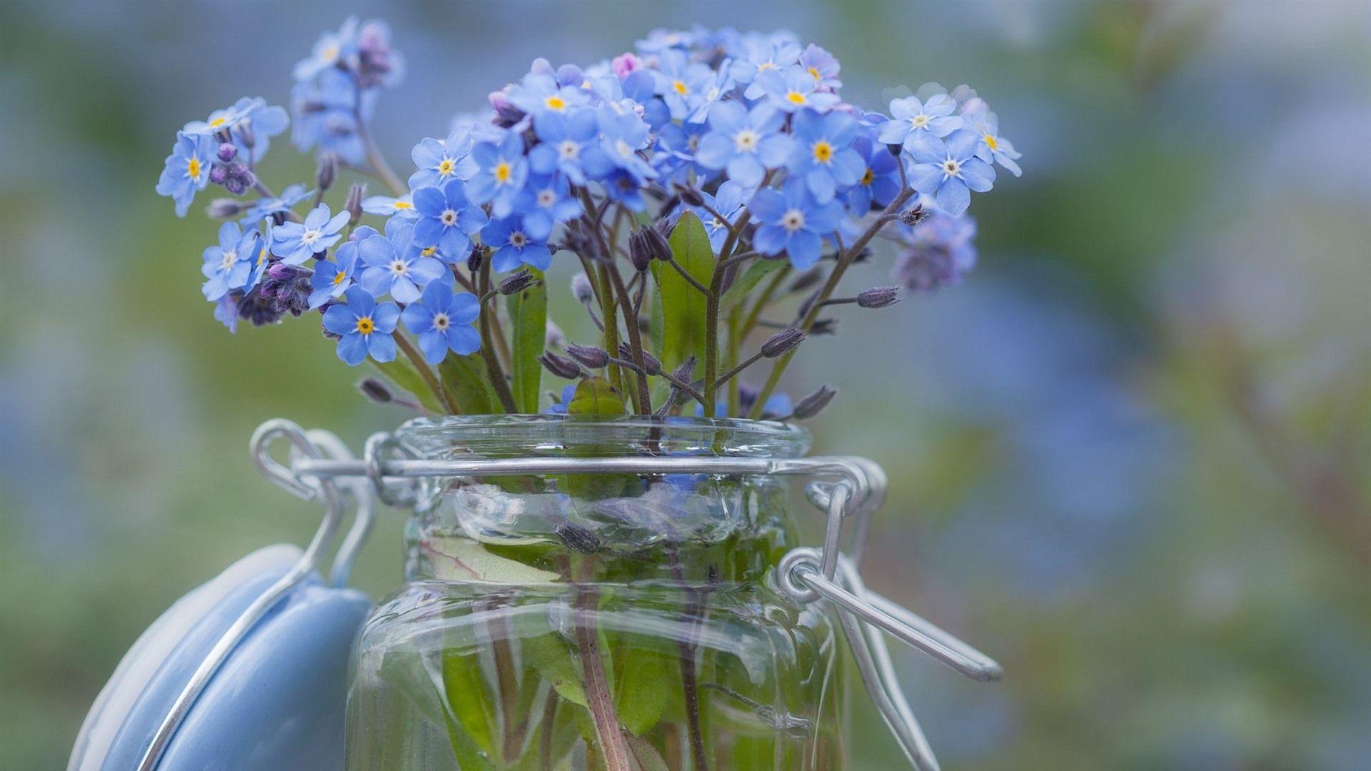 1920X1080 Mason Jar Wallpapers - Top Free 1920X1080 Mason Jar