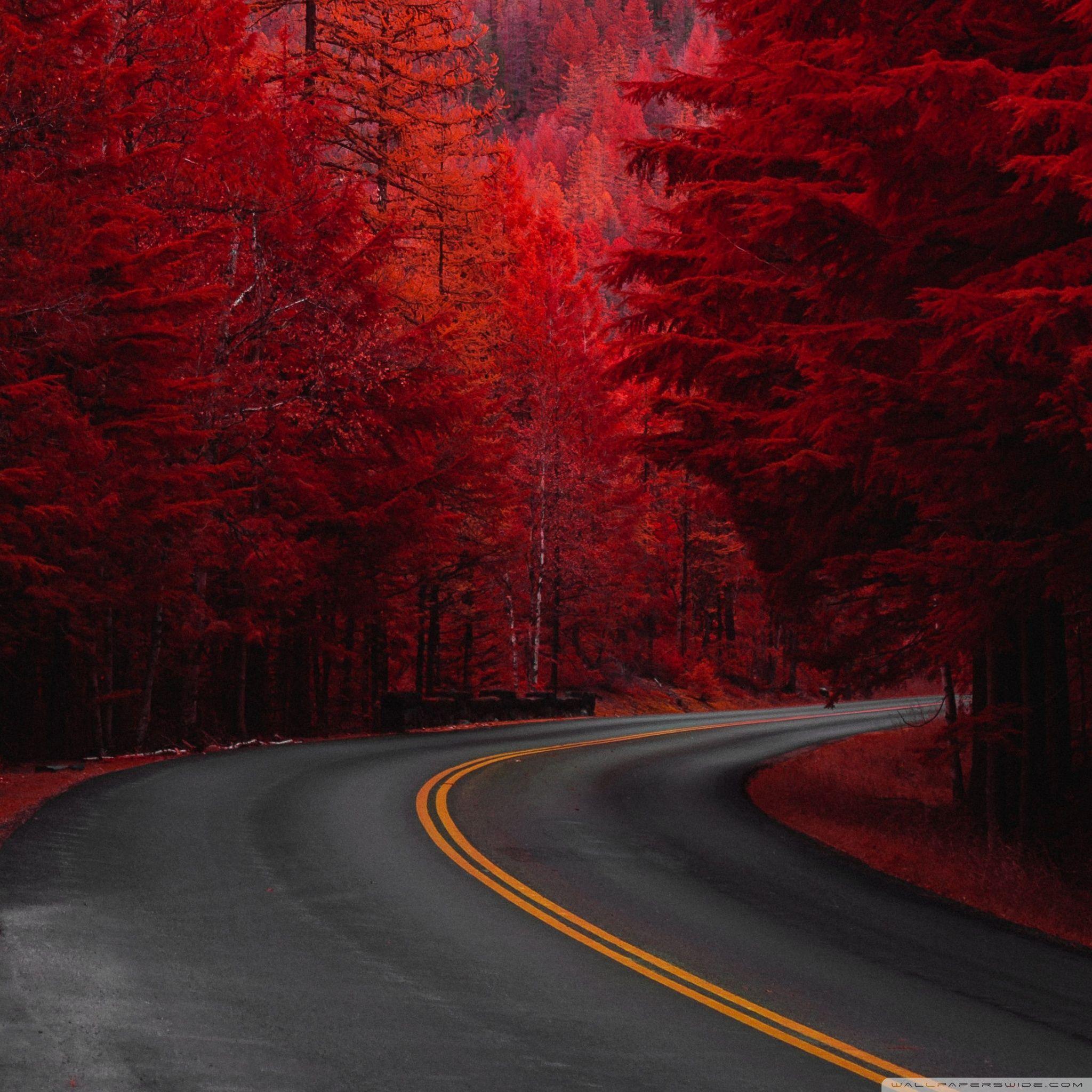 2048x2048 Autumn Road Aesthetic Wallpaper. The Soccer Walls