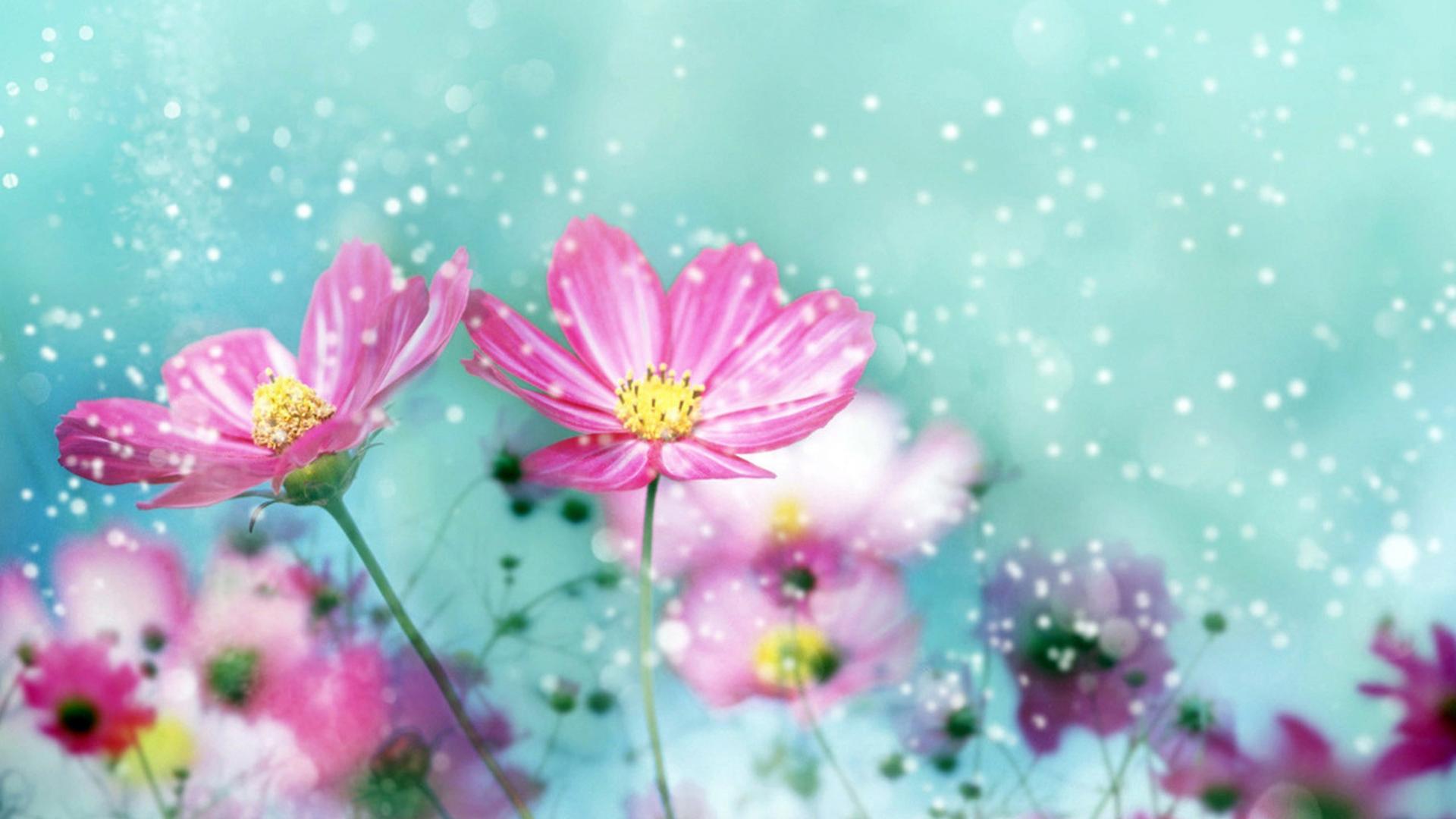 Cute Flower Wallpapers - Top Free Cute Flower Backgrounds - WallpaperAccess