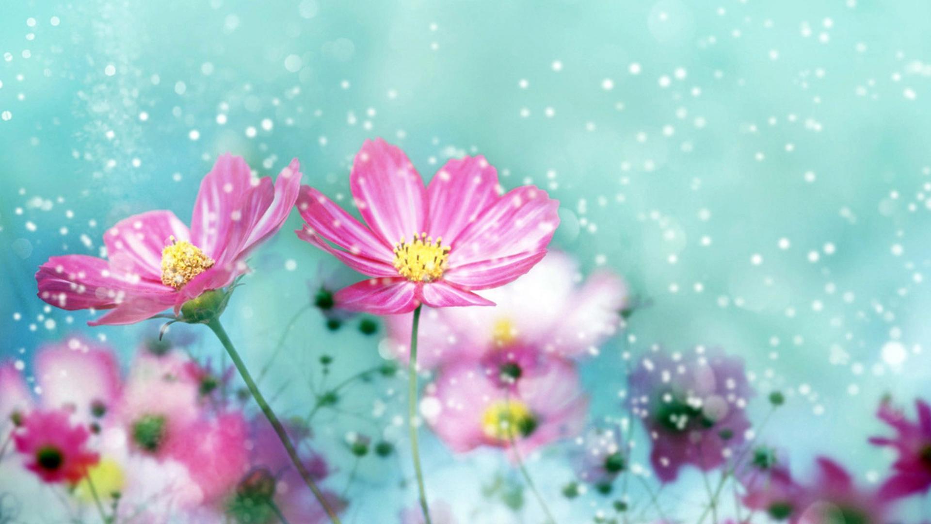 Cute 3D Flowers Wallpapers Top Free Cute 3D Flowers Backgrounds Cute 3D Flowers Wallpapers Top Free Cute 3D Flowers Backgrounds