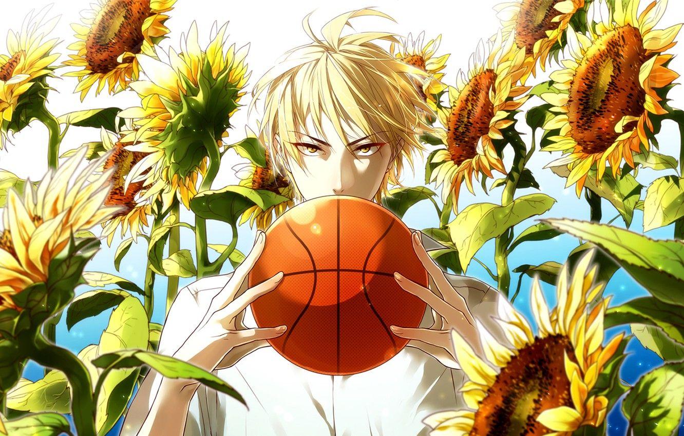 1332x850 Wallpaper Kise, the ball, look, Kaijou, guy, Kuroko From Basket