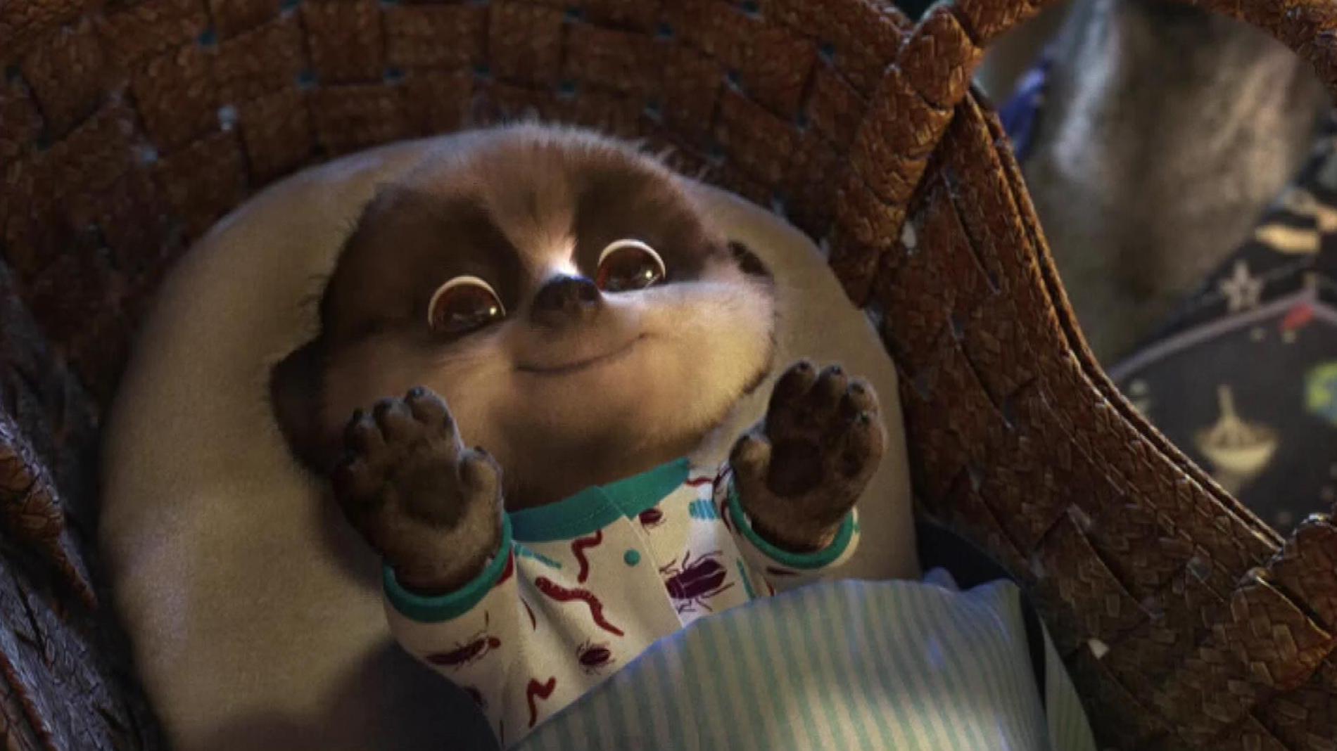 1900x1068 Meerkat Baby Oleg