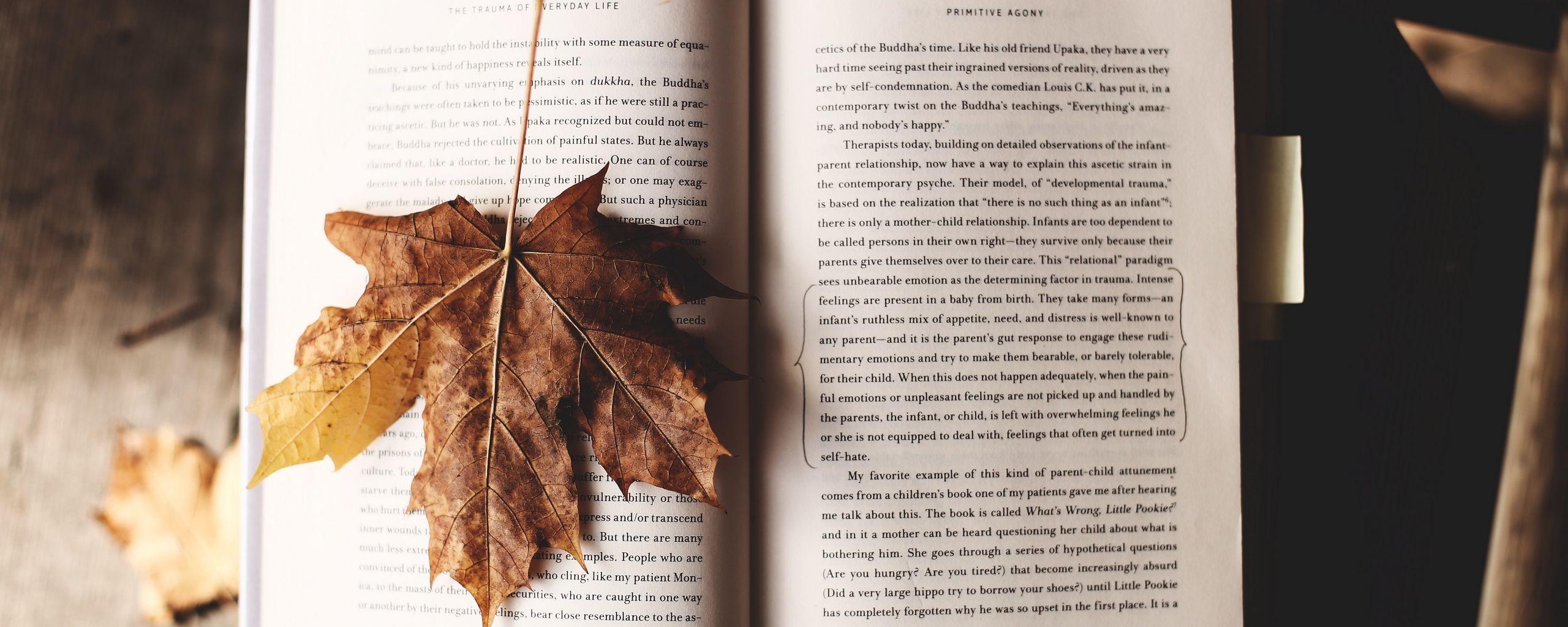 2560x1024 Download wallpaper 2560x1024 book, maple, leaf, autumn ultrawide