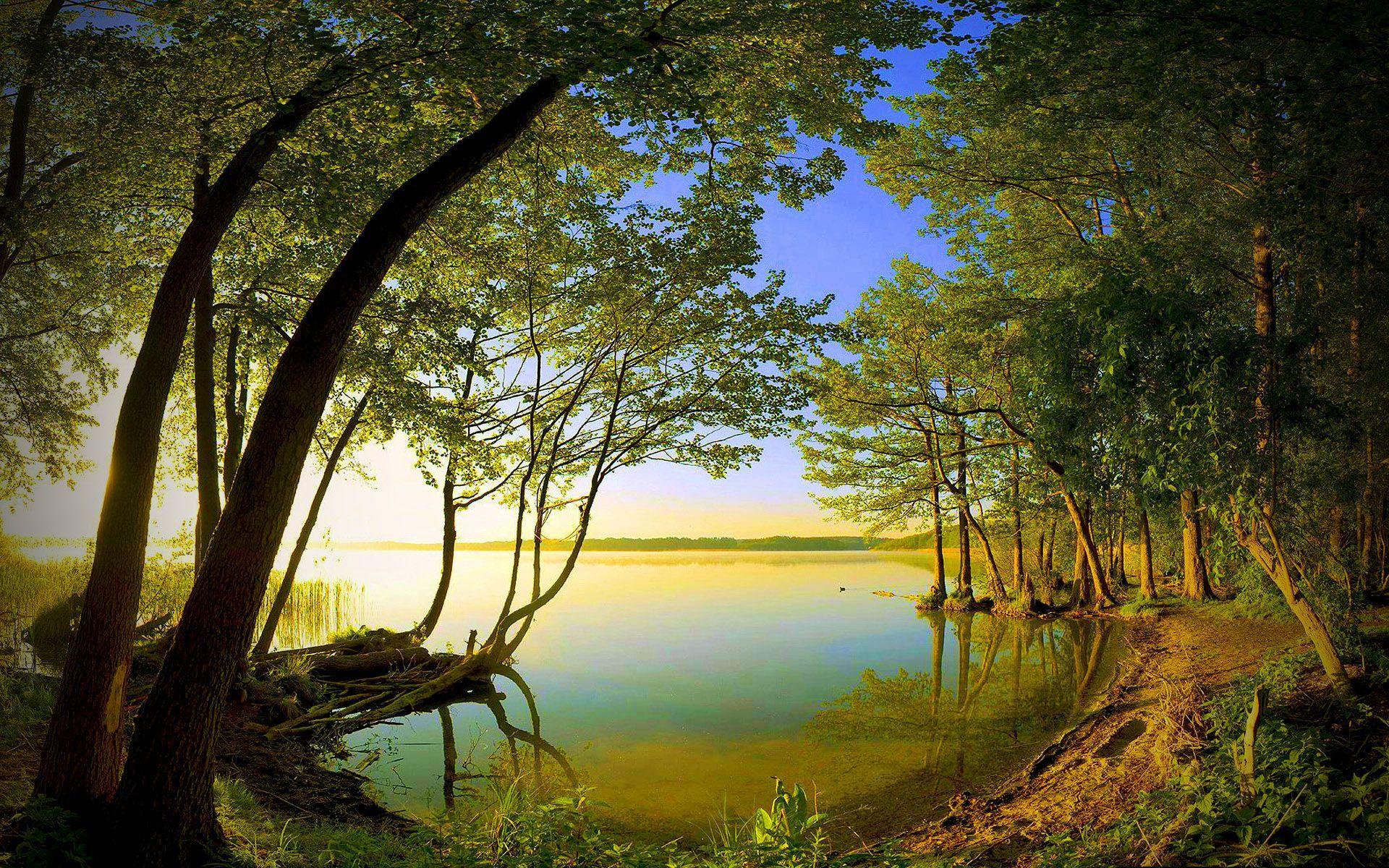 Nature Video