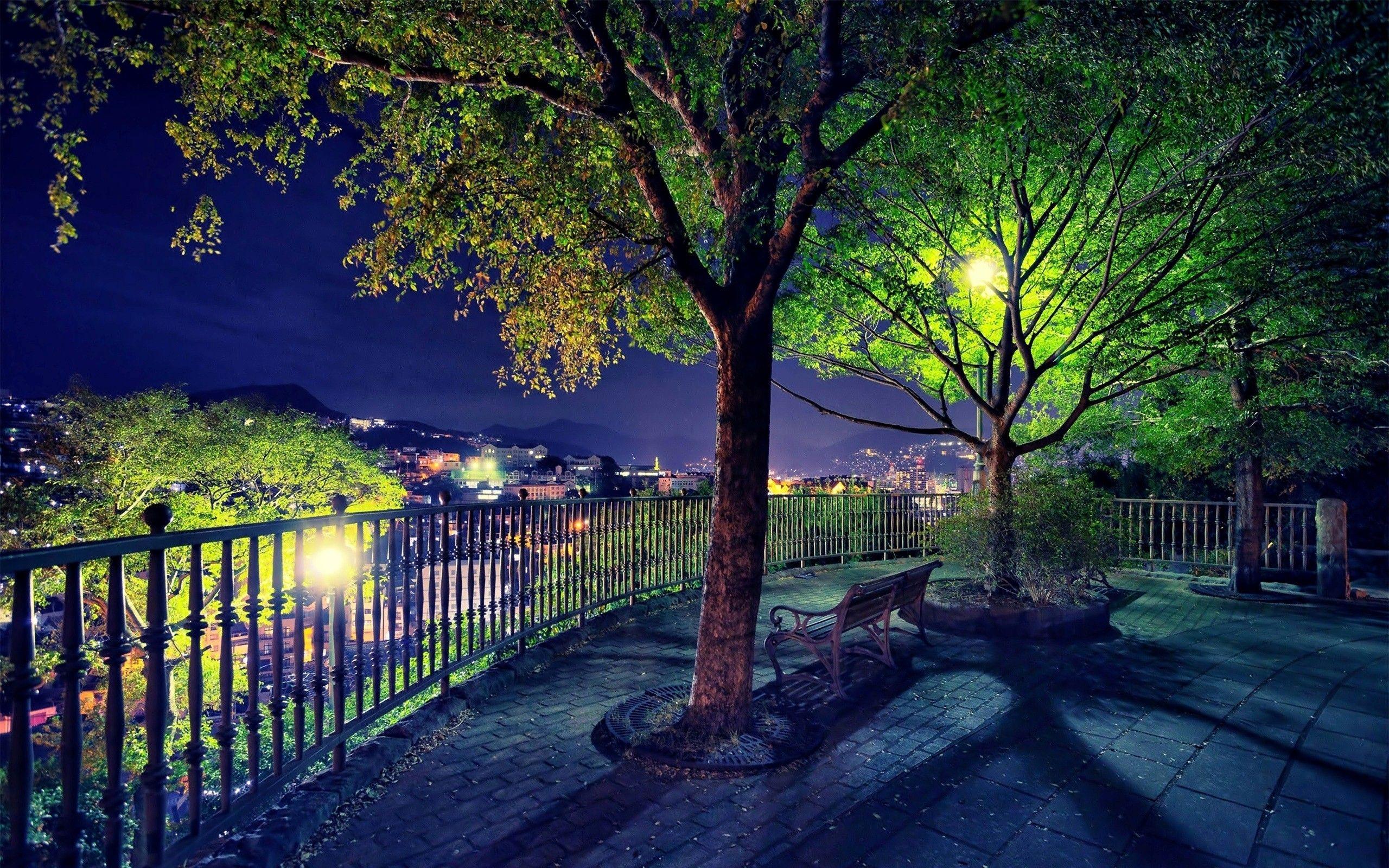 2560x1600 Views Wallpaper
