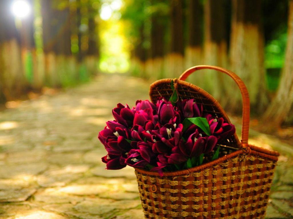 1024x768 Flowers Basket Wallpaper HD Picture