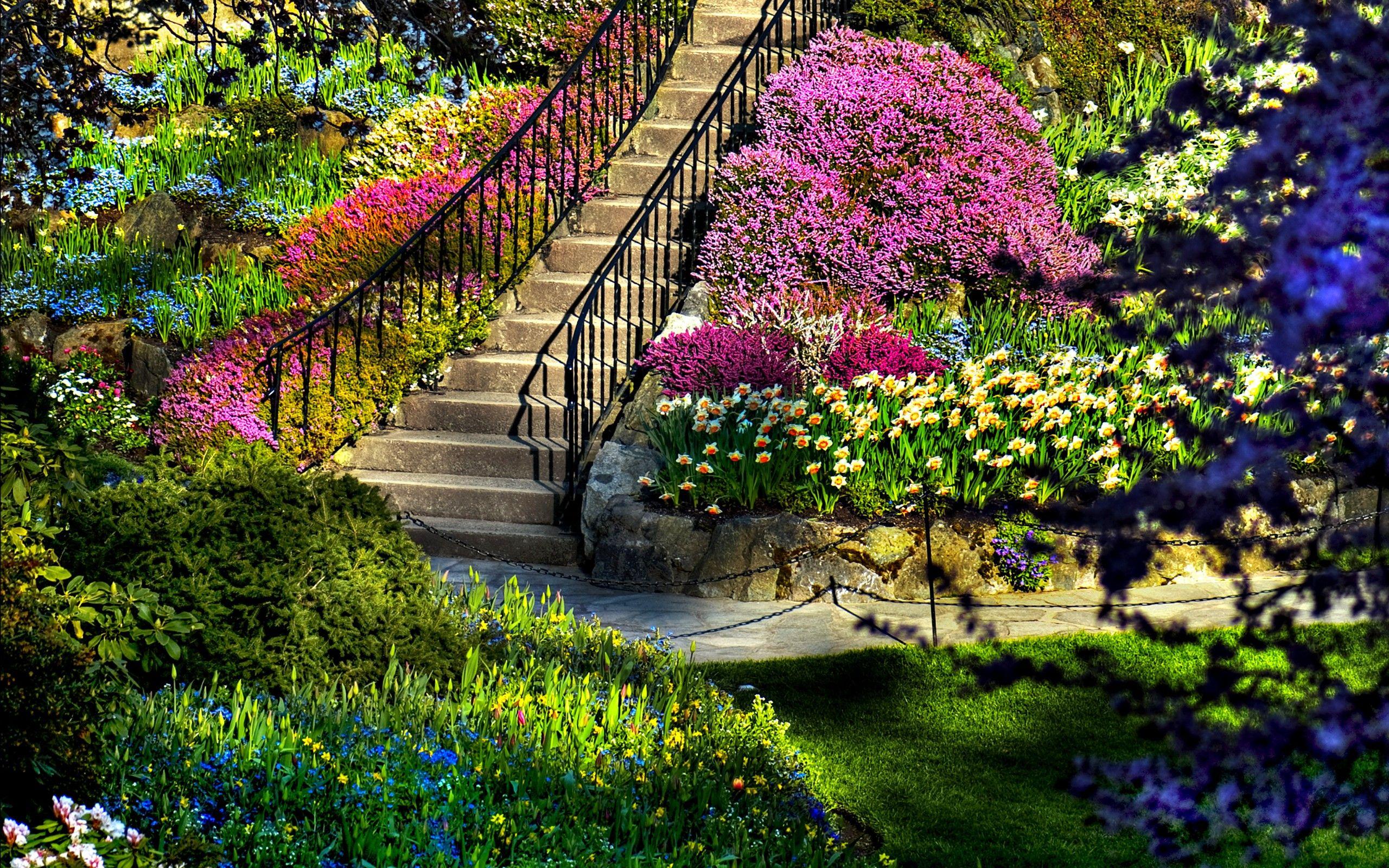 2560x1600 Nature views wallpaper