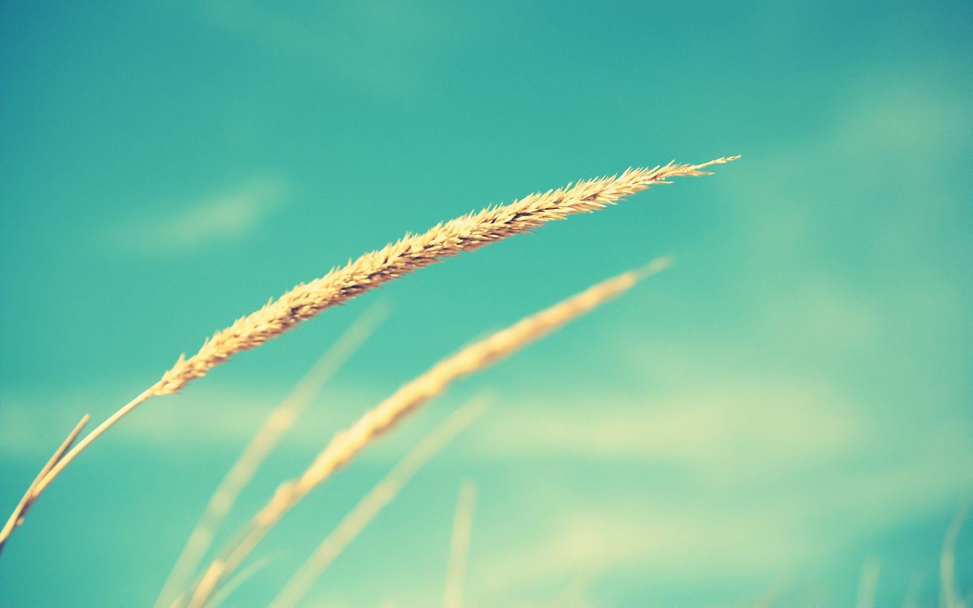 1920x1200 Beautiful Photography