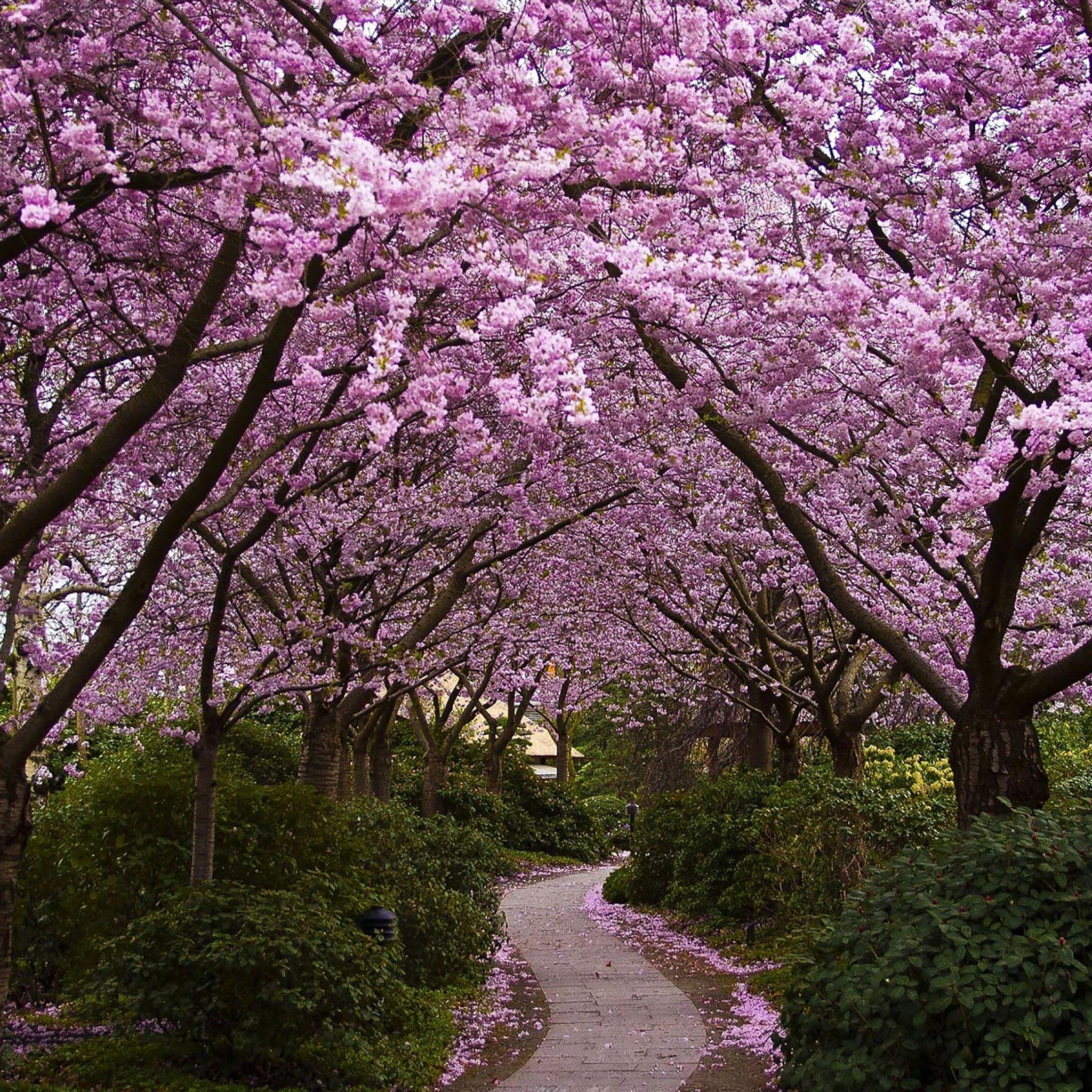 Beautiful Spring View Wallpapers - Top Free Beautiful Spring View ...