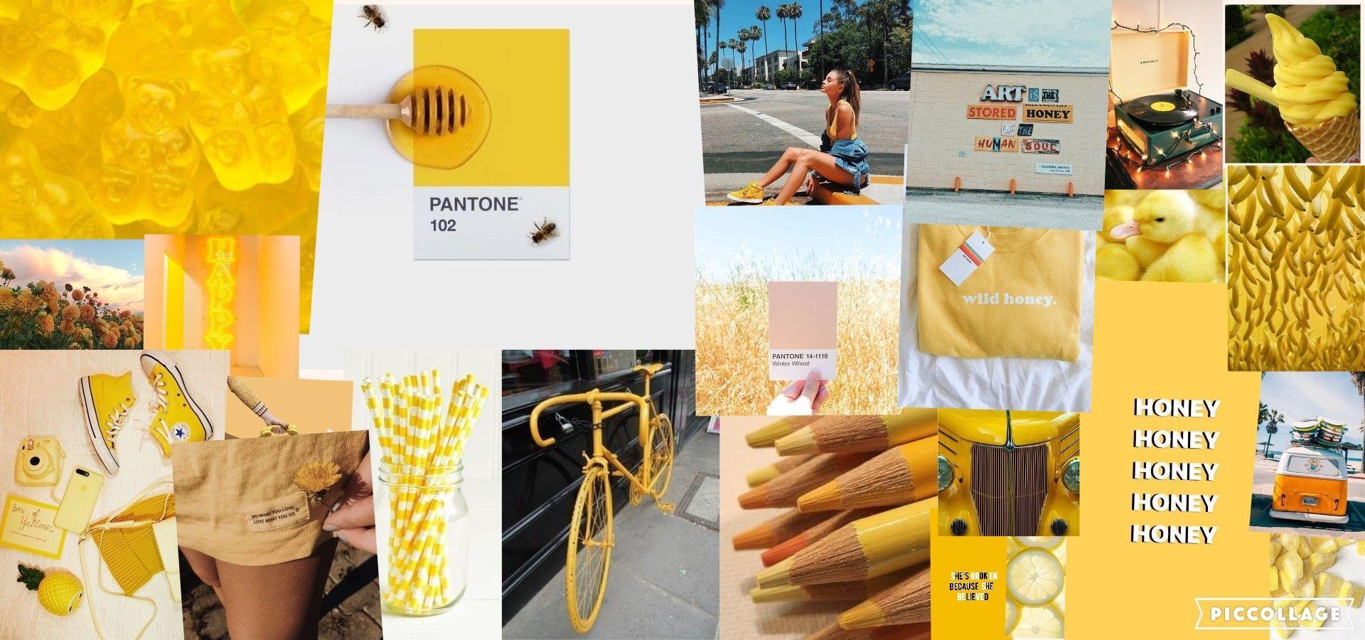 Yellow Collage Wallpapers Top Free Yellow Collage Backgrounds