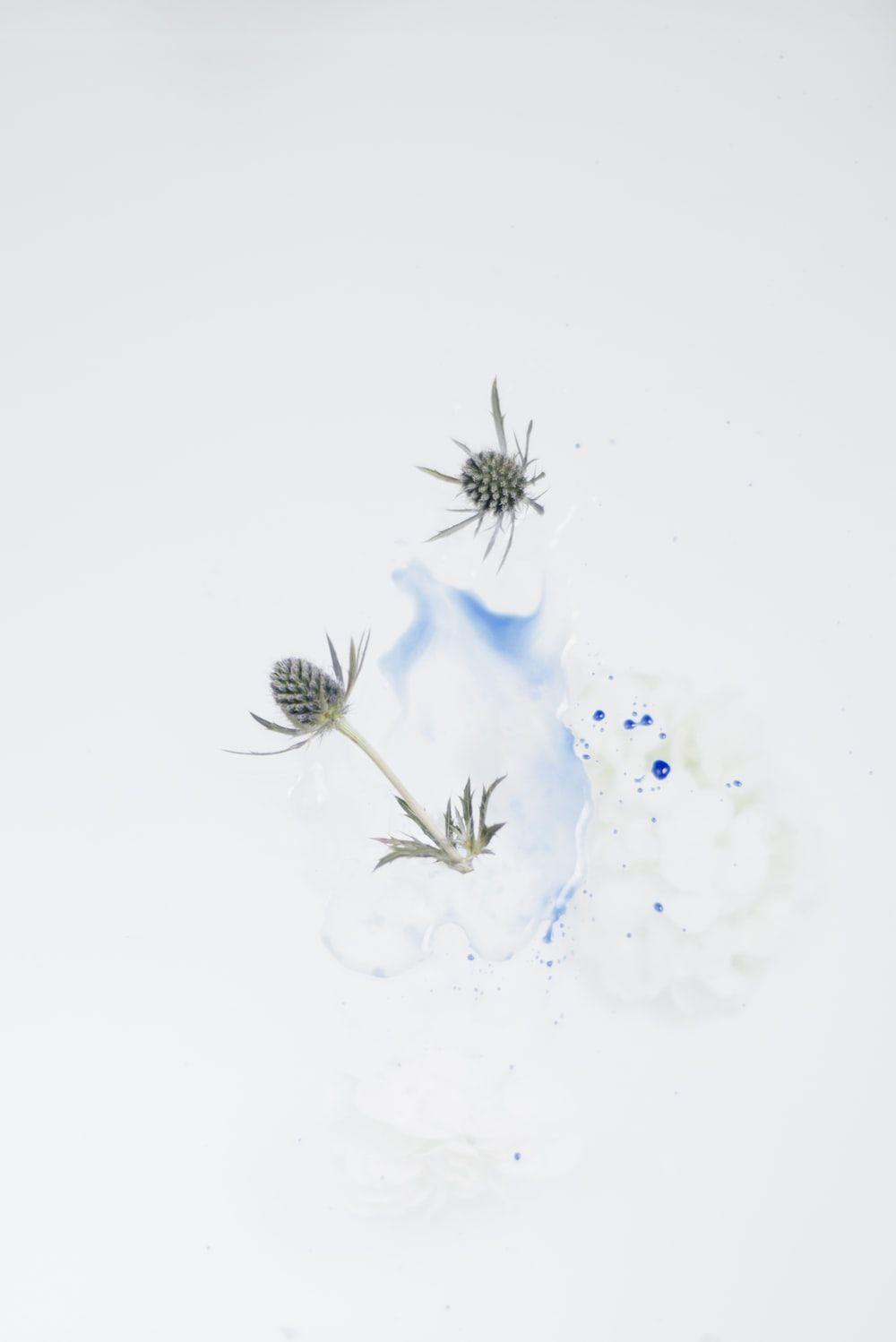 1000x1498 Minimalist. of the best minimalistic photo