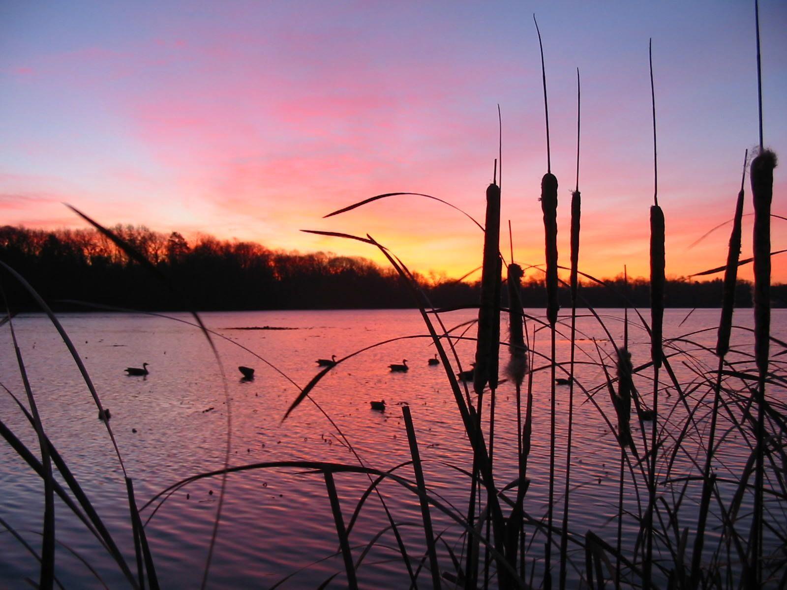 1600x1200 Duck Hunting Wallpaper wallpaper Collections