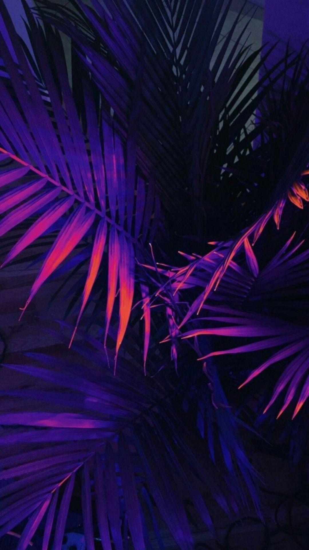 1080x1920 Neon Aesthetic - Android, iPhone, Nền máy tính để bàn HD