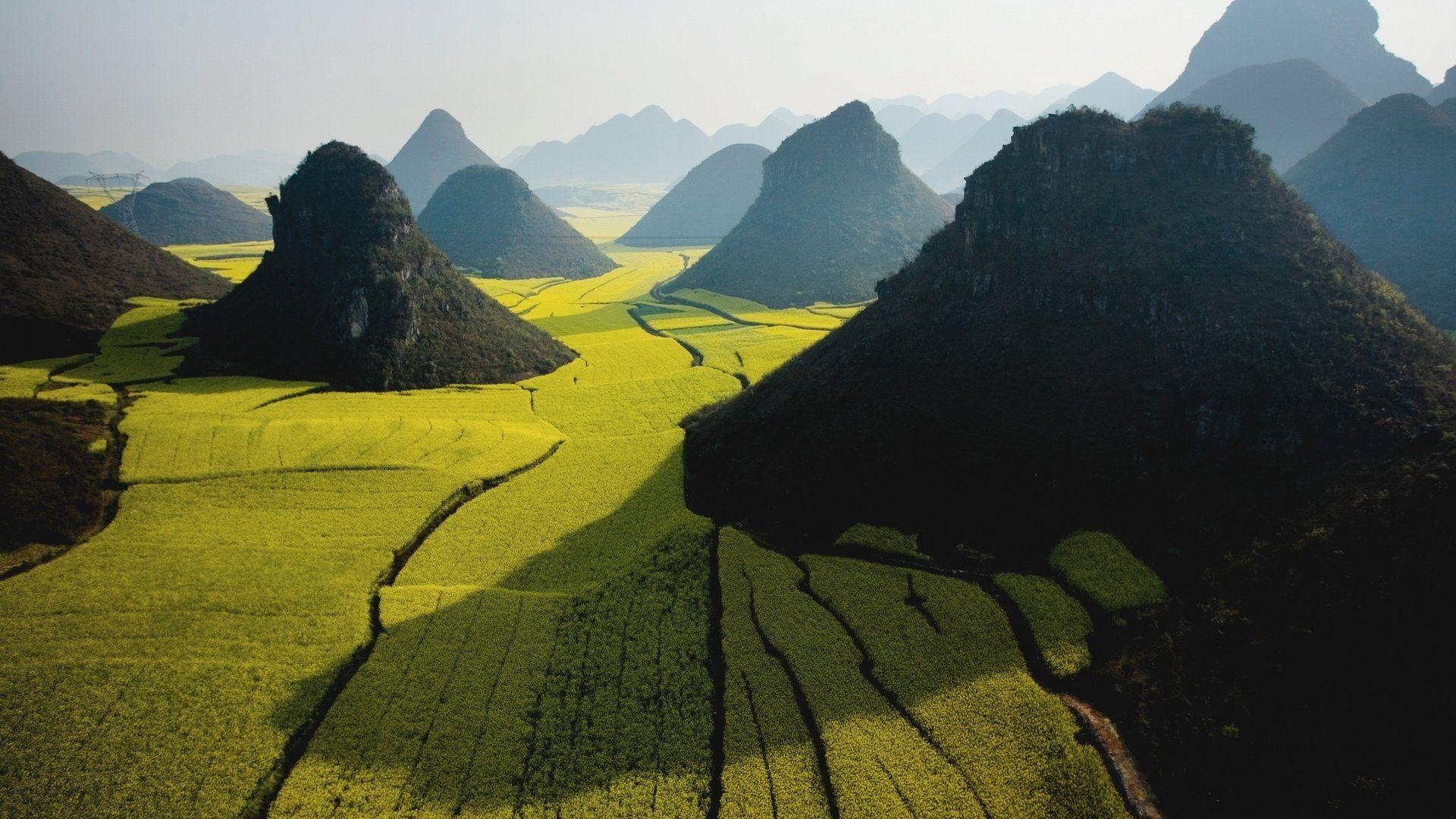 1920x1080 Chinese tea, category Leah Burns