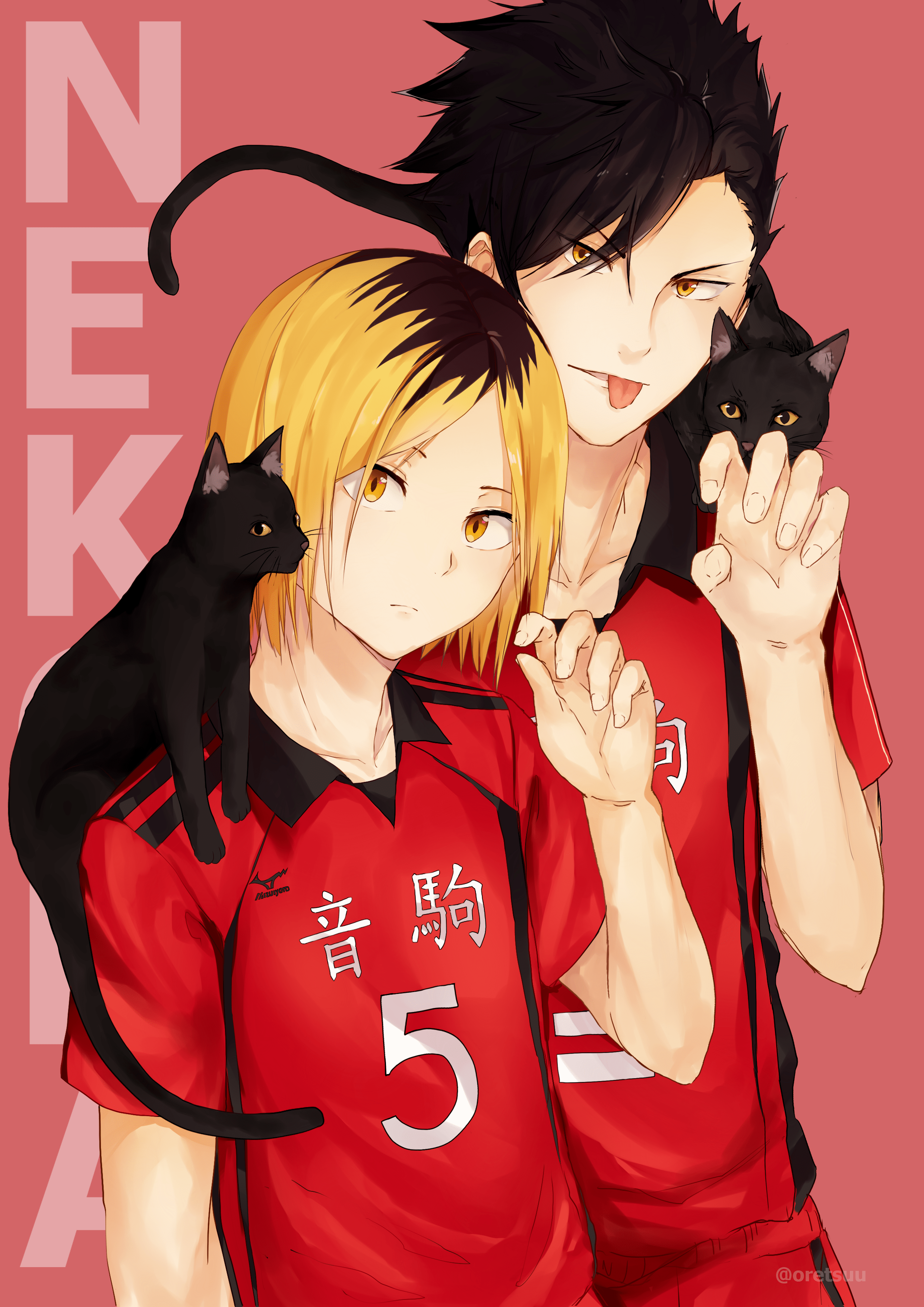 2480x3507 Free download Haikyuu Furudate Haruichi Mobile Wallpaper 2202277