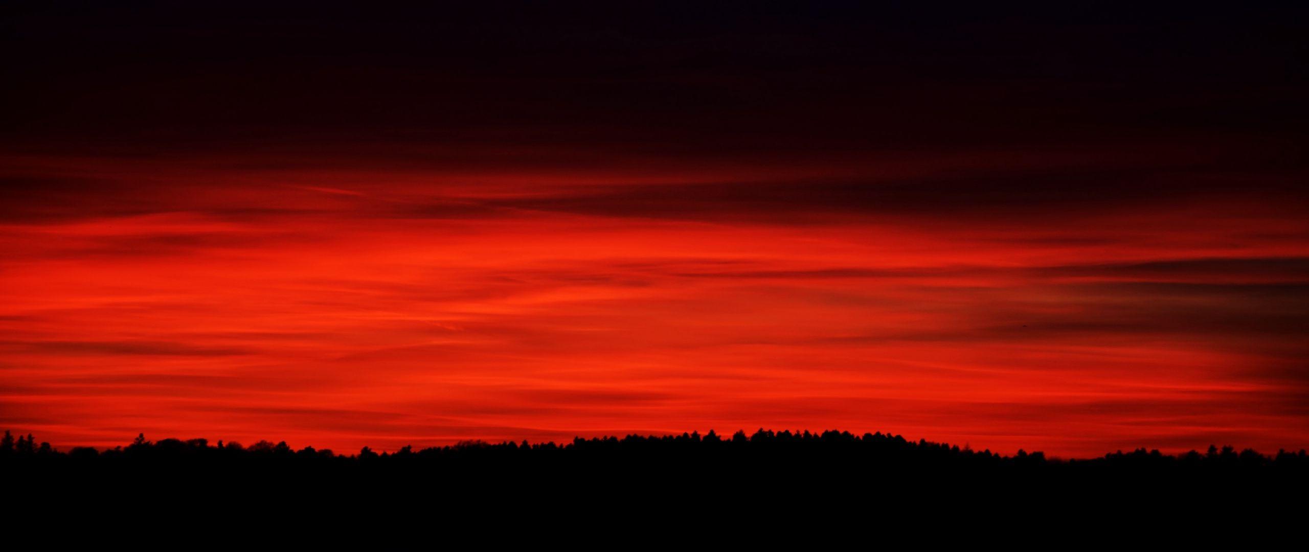 2560x1080 Download wallpaper 2560x1080 sky, red, horizon, trees dual wide