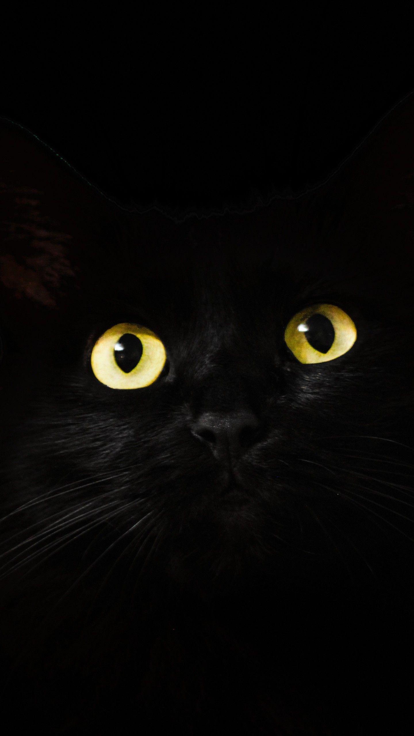 1440x2560 Black Cat Eyes Dark 5k Samsung Galaxy S S7 , Google