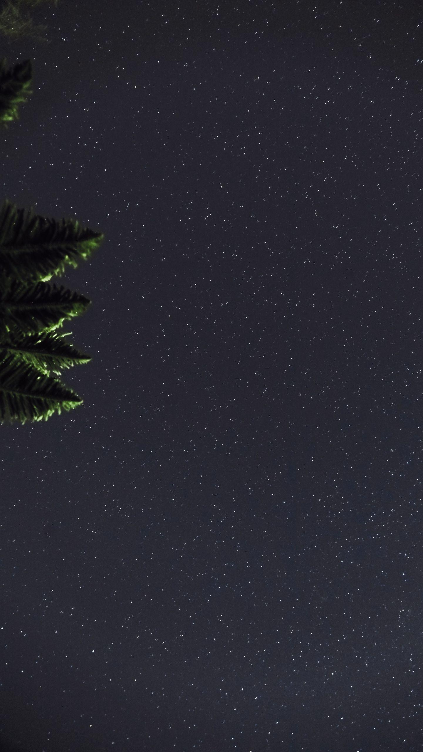 1440x2560 Download Wallpaper 1440x2560 leaves dark branches night starry sky