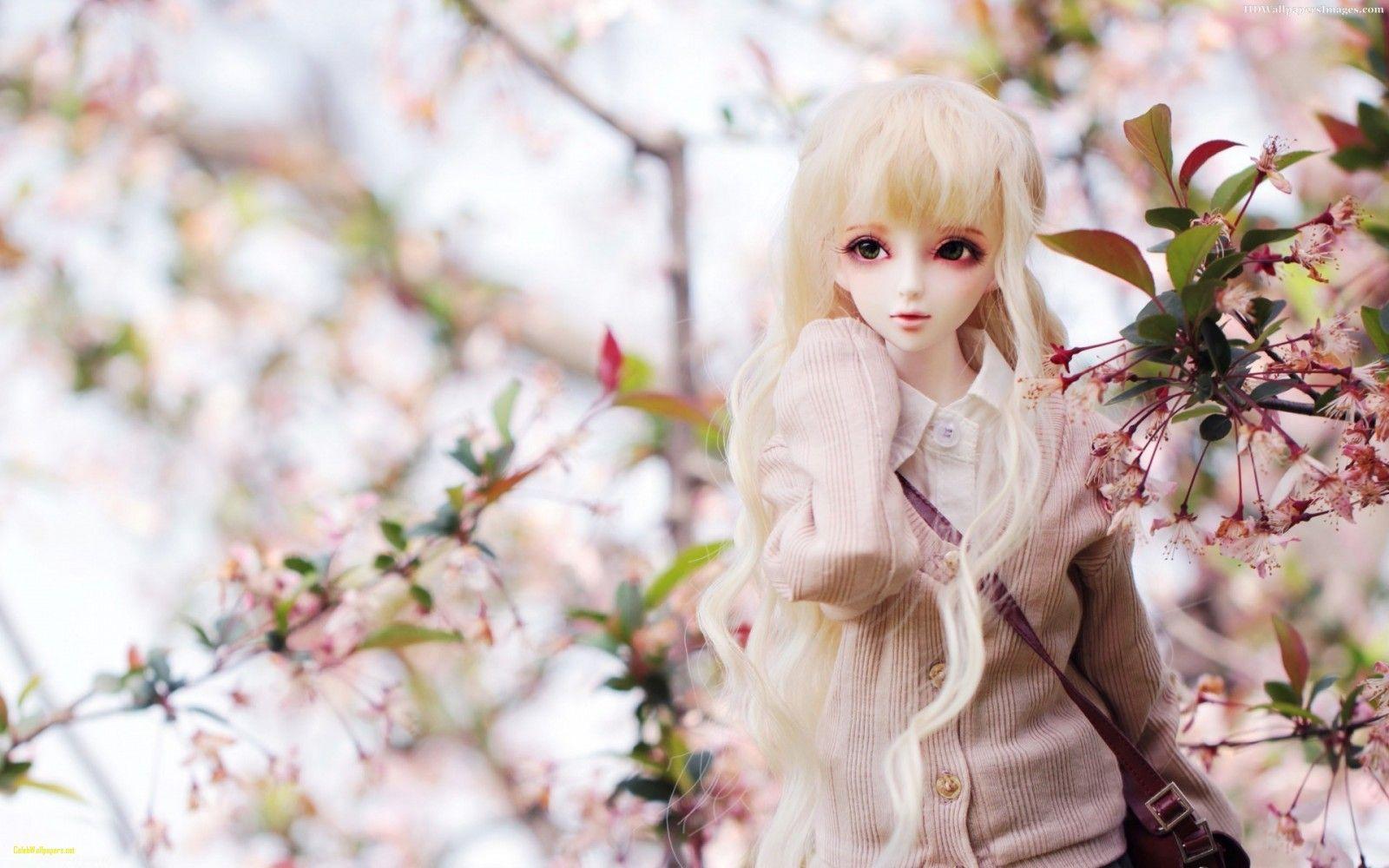 1600x1000 Doll Wallpaper Cute Doll Wallpaper Wallpaperafari