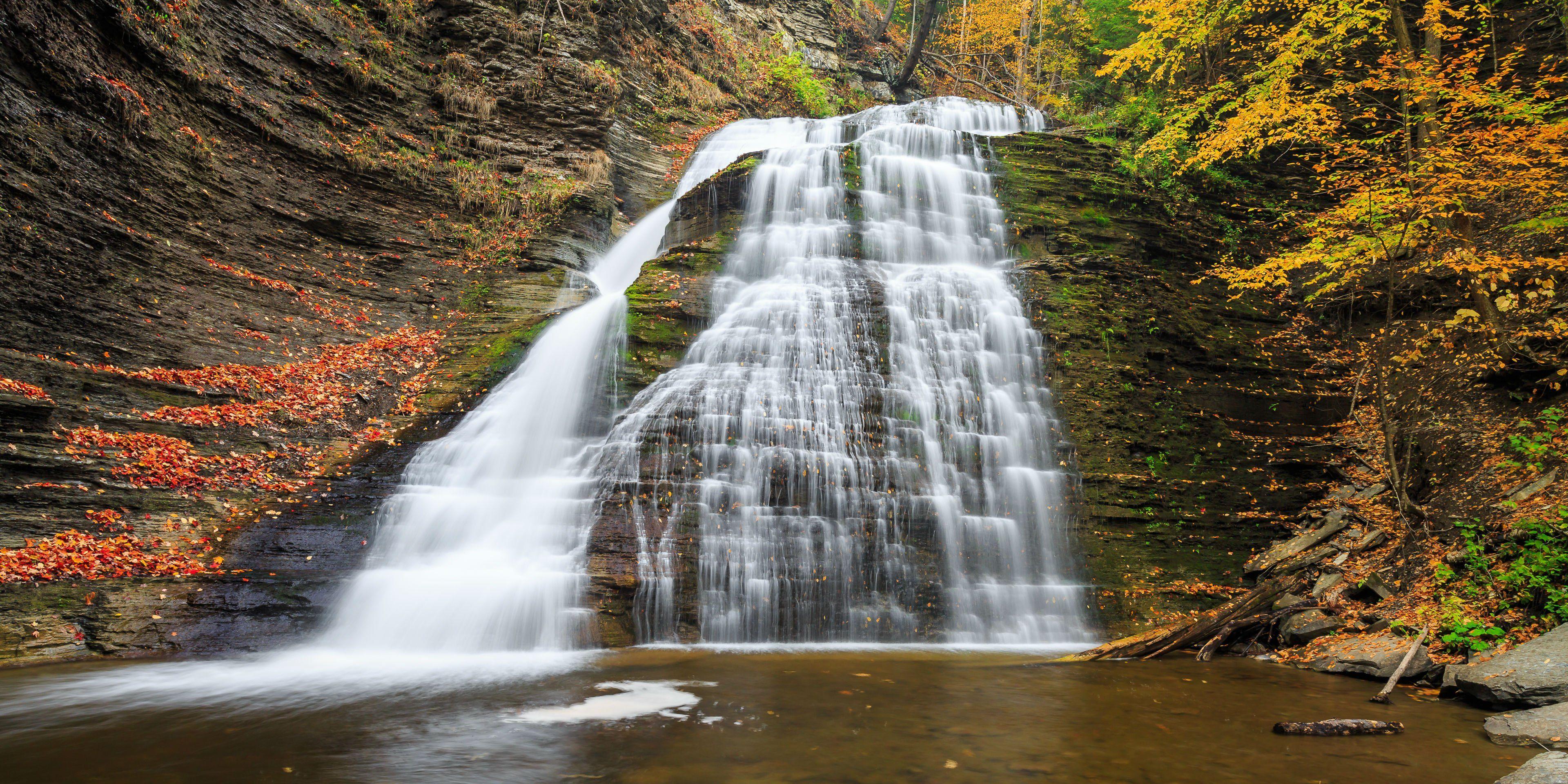 3840x1920 AUTUMN fall tree forest landscape nature leaves wallpaper