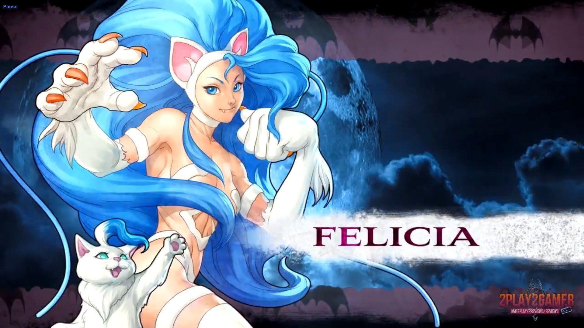 1920x1080 Darkstalkers Wallpaper The Night Warriors Felicia