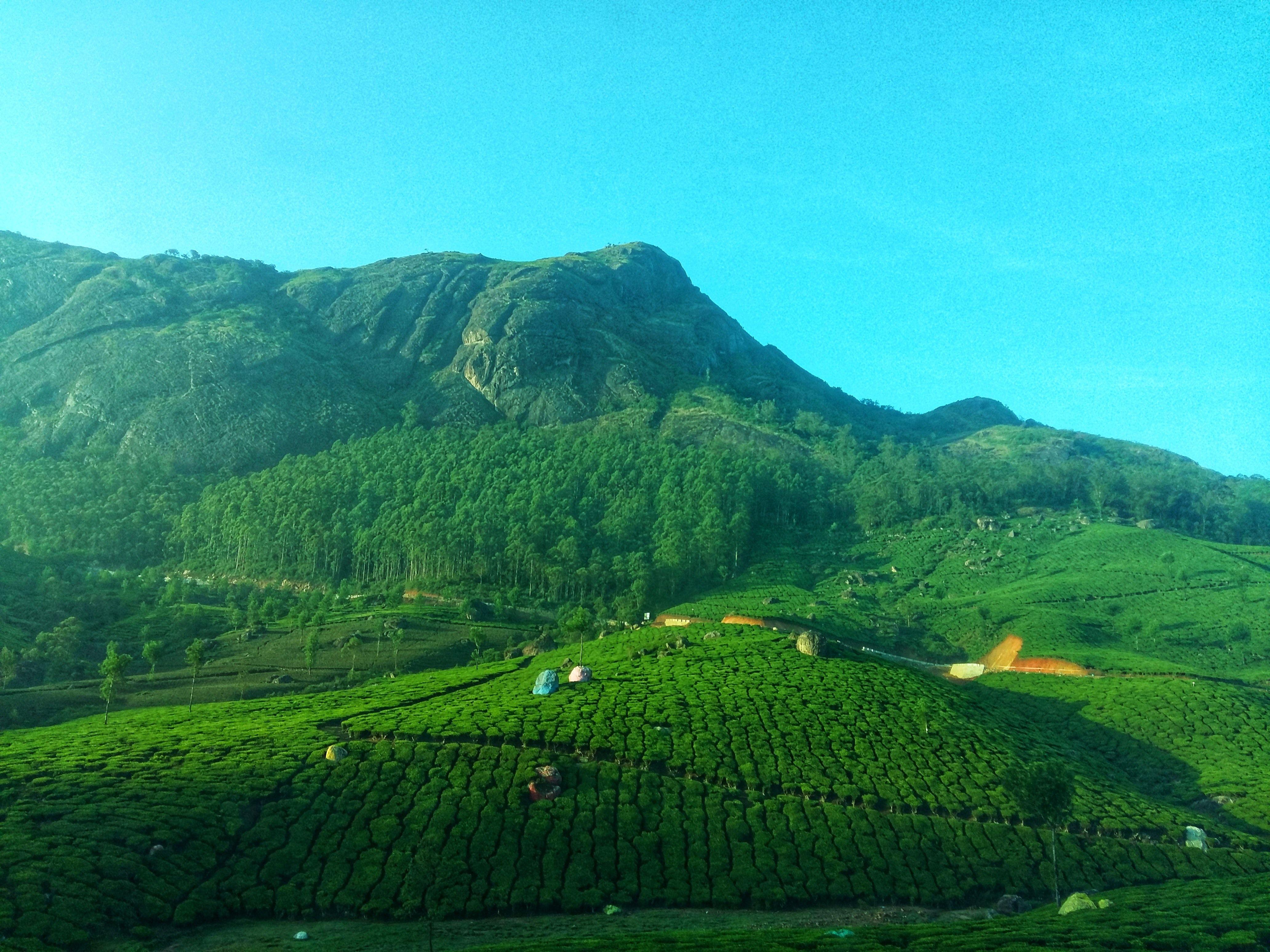 Munnar Wallpapers - Top Free Munnar Backgrounds - WallpaperAccess