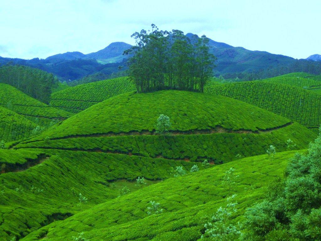 1024x768 Kerala HD Wallpaper
