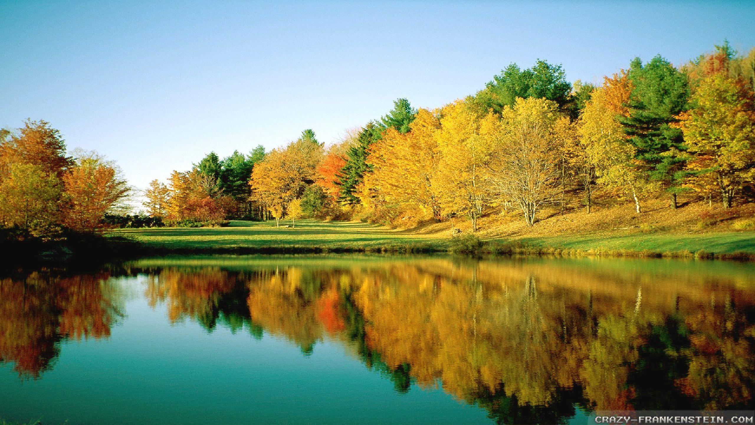 2560x1440 Autumn In Australia wallpaper