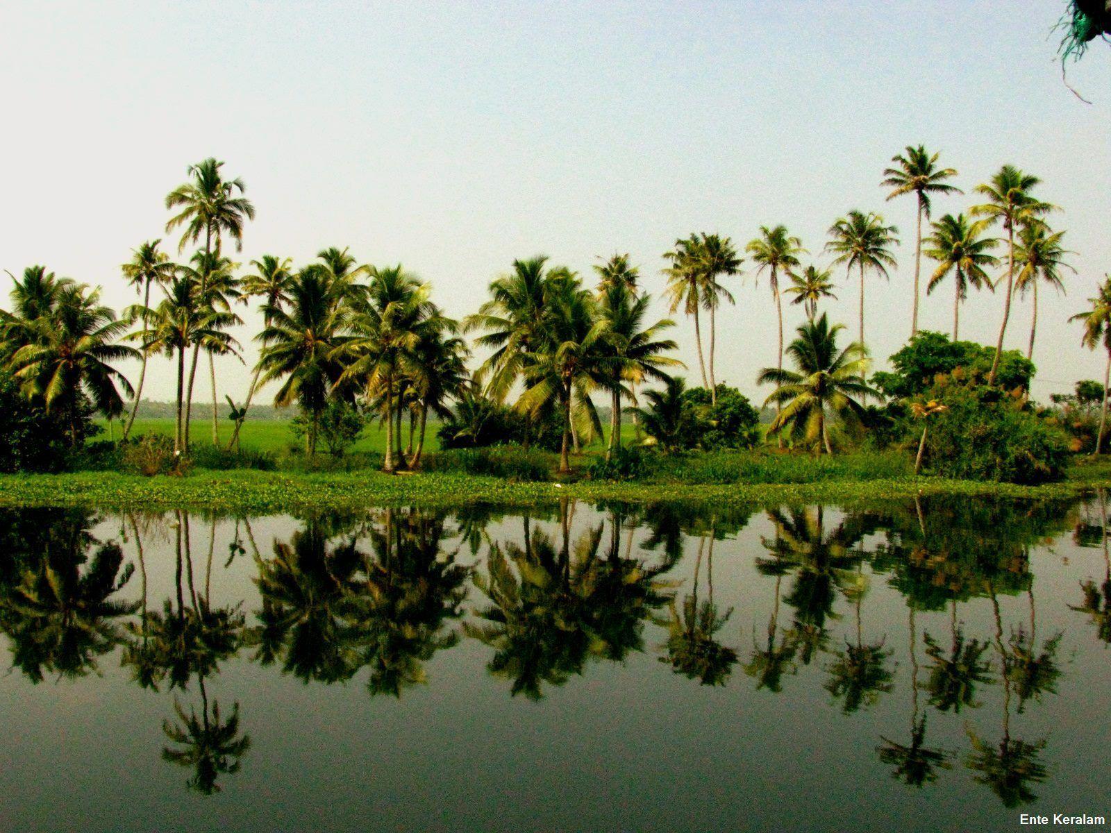 Kerala Nature Wallpapers - Top Free Kerala Nature Backgrounds -  WallpaperAccess