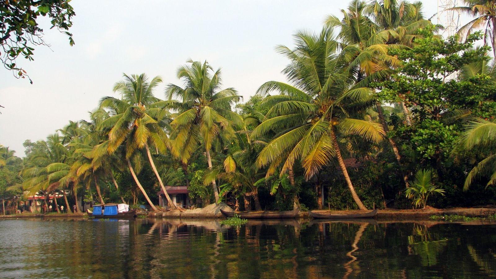 1600x900 Free download Wallpaper Kerala Nature Beauty Awesome Wallpaper