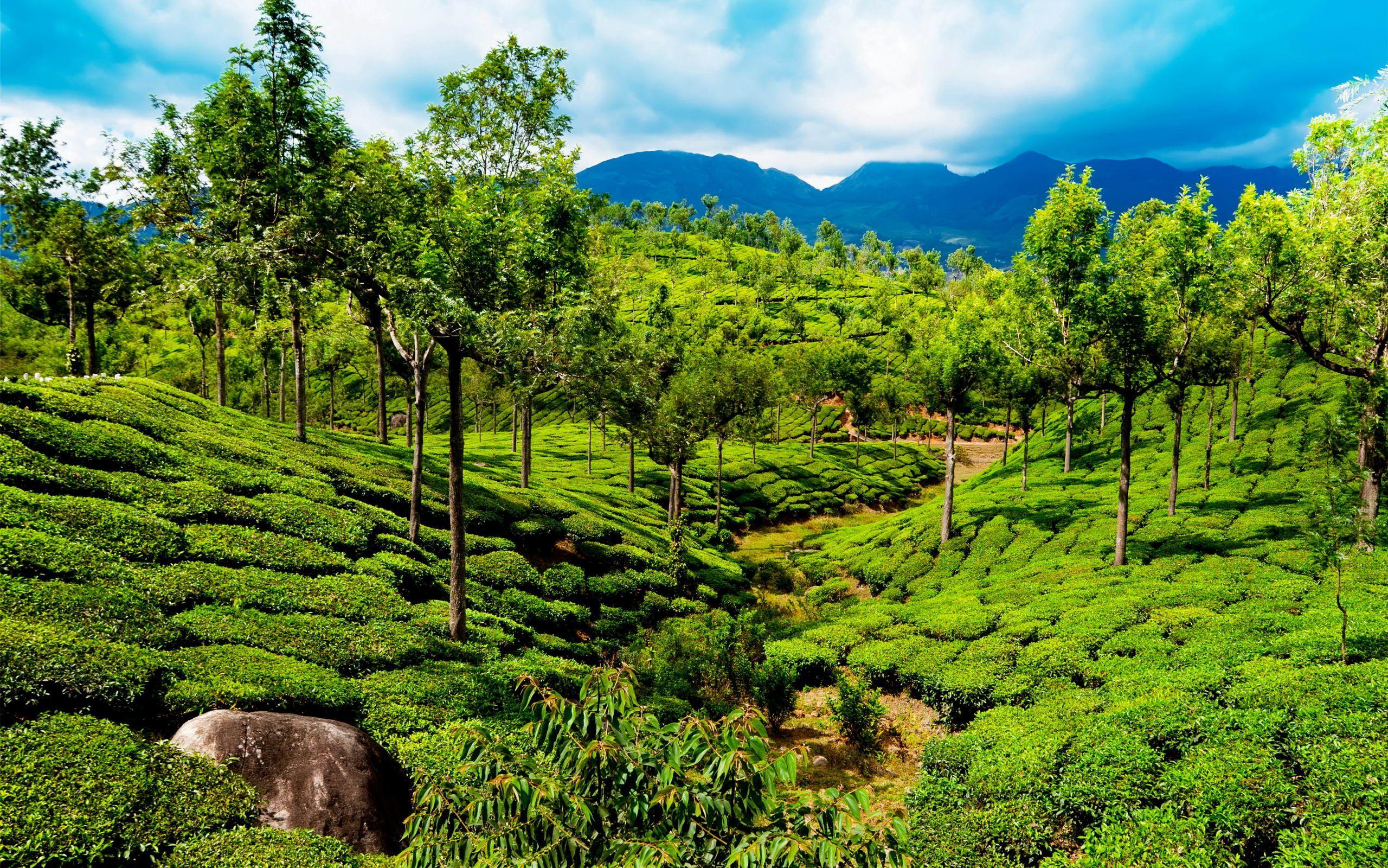 Kerala Nature Wallpapers - Top Free Kerala Nature Backgrounds