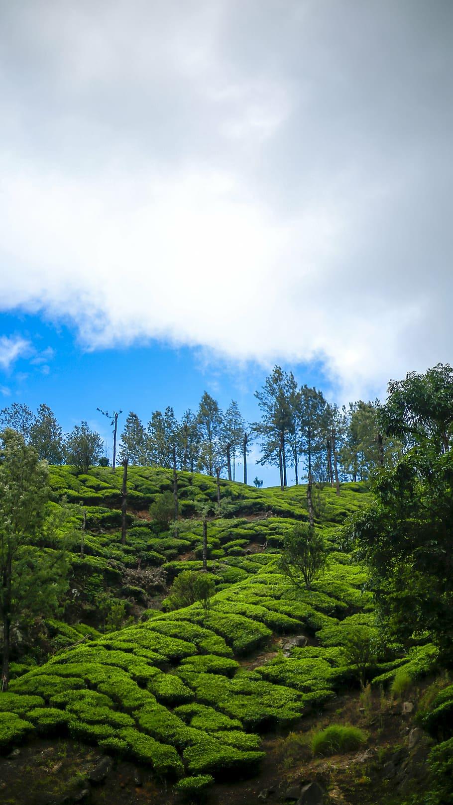 910x1618 Kerala 1080P, 2K, 4K, 5K HD wallpaper free download