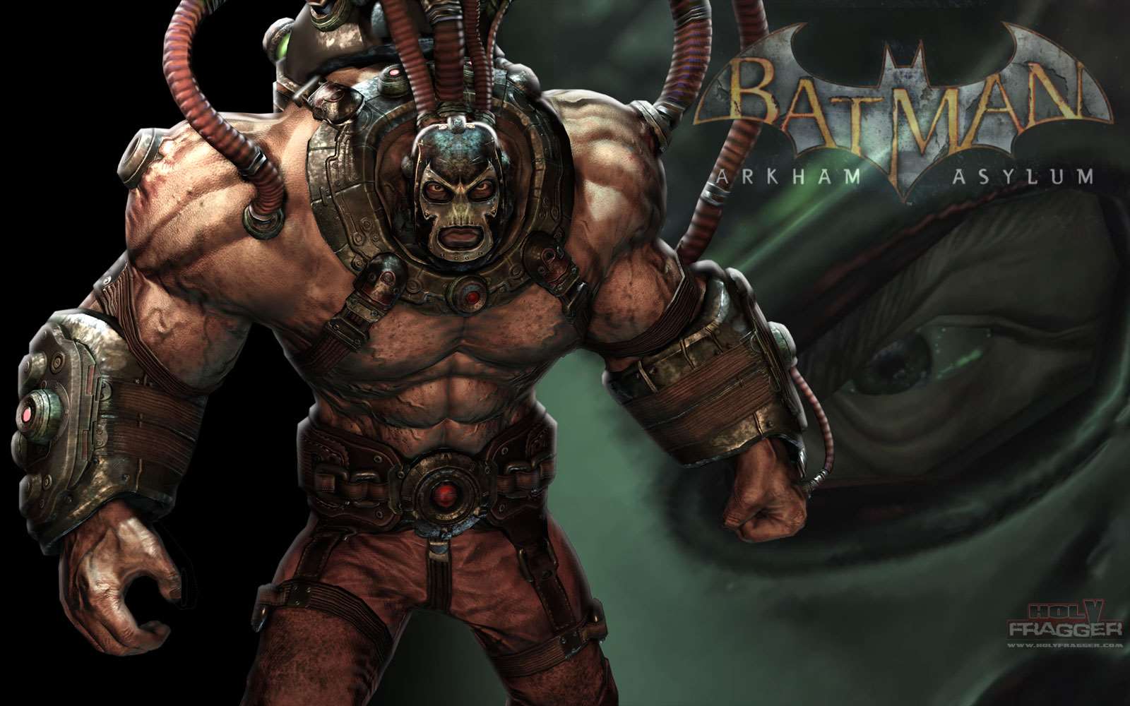 1600x1000 Multiplatform Batman: Arkham Asylum Wallpaper Wallpaper
