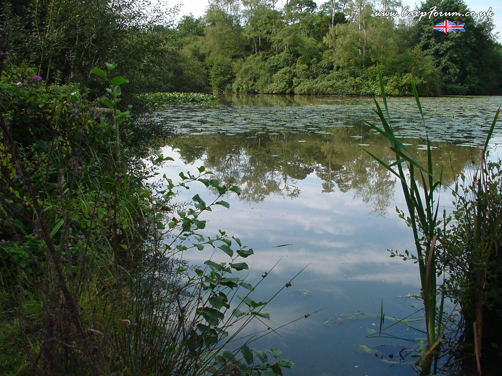 1600x1200 CarpForum UK Carp Fishing Forum. Information, chat