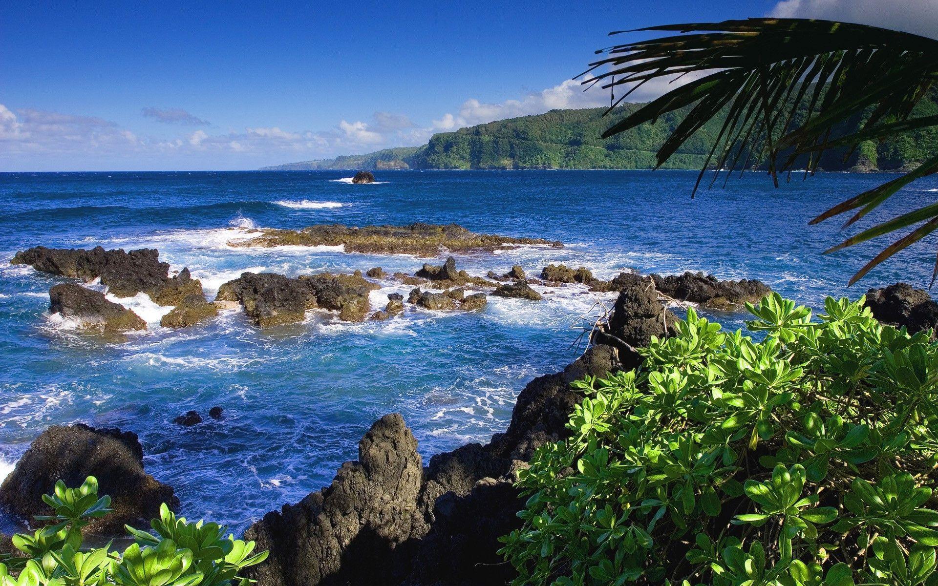 Download Maui Moana Beach Wallpaper  Wallpaperscom
