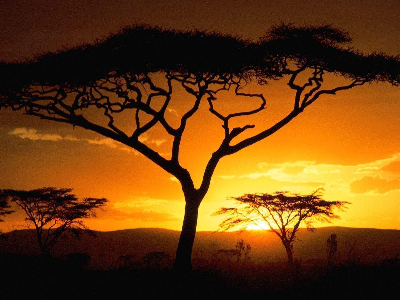 Download Africa wallpapers for mobile phone free Africa HD pictures
