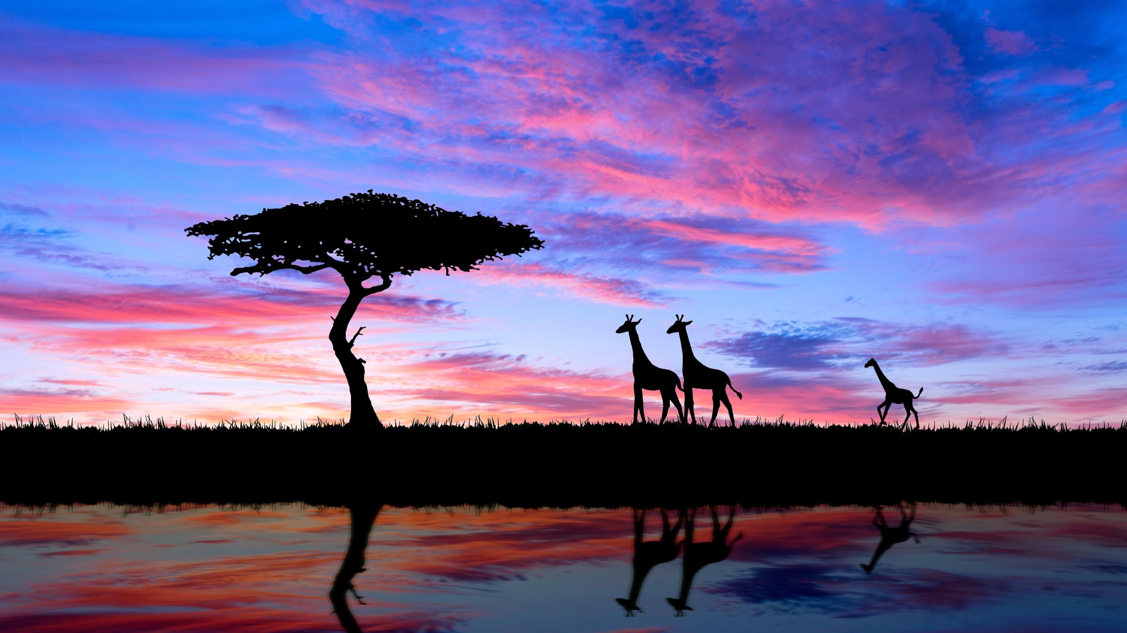 African Sunset Wallpapers - Top Free African Sunset Backgrounds