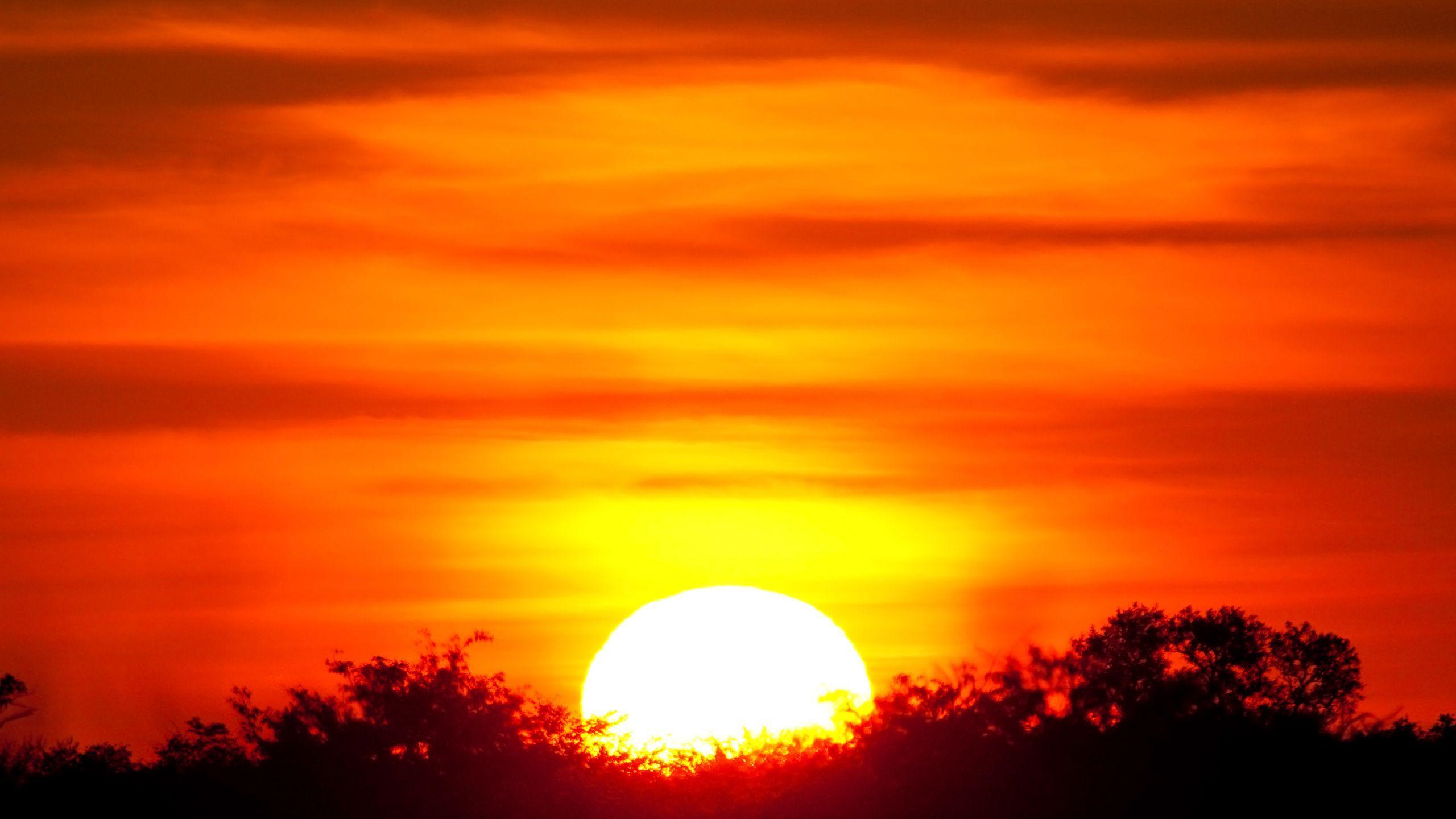 2560x1440 Wallpaper. African sunset, Sunset painting, Sunset wallpaper