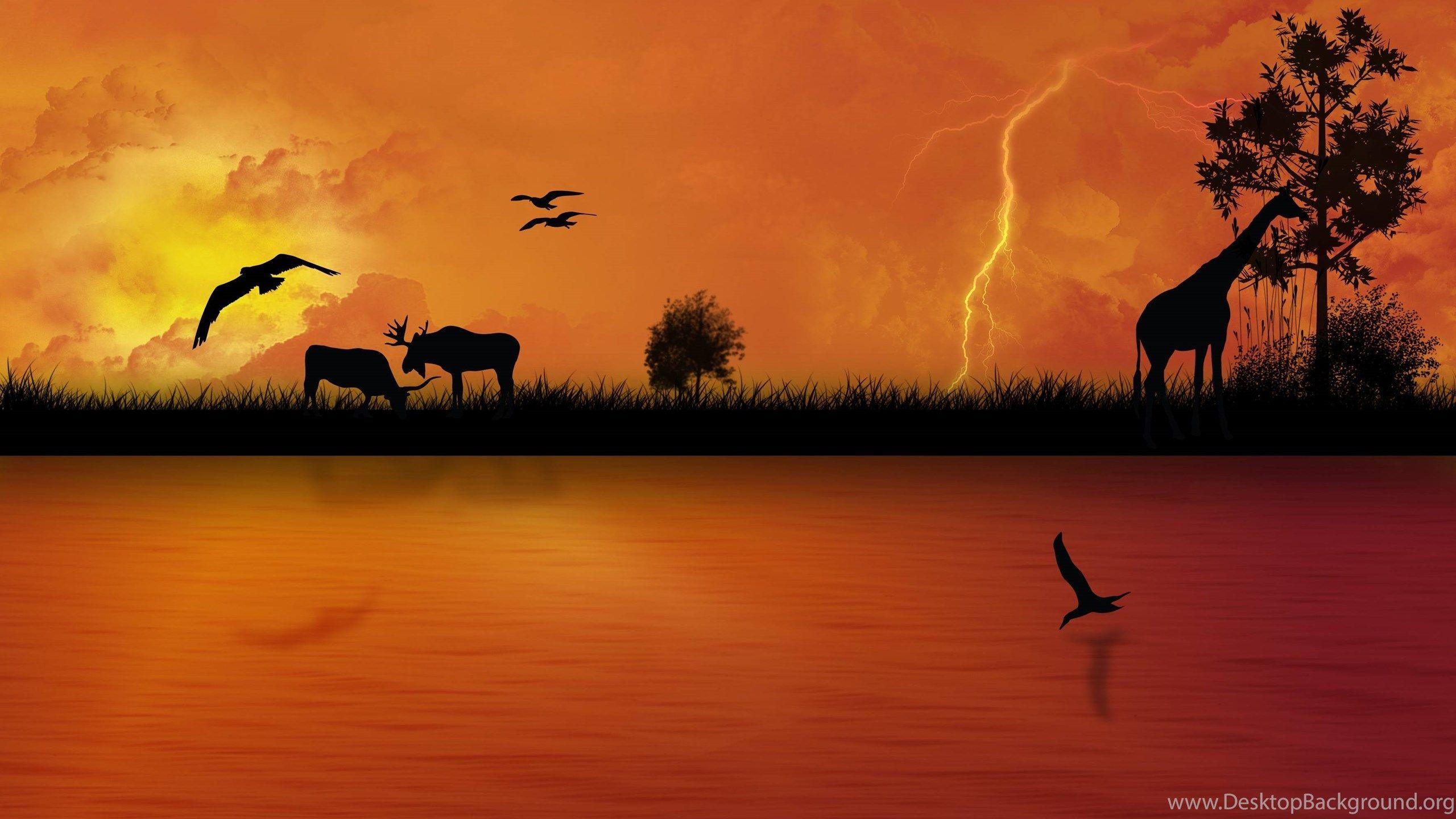 African Sunset Wallpapers - Top Free African Sunset Backgrounds