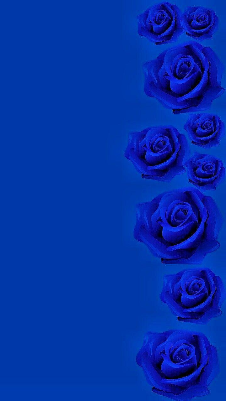 720x1280 Wallpaper.By Artist Unknown. Blue flowers background, Blue wallpaper iphone, Blue roses wallpaper